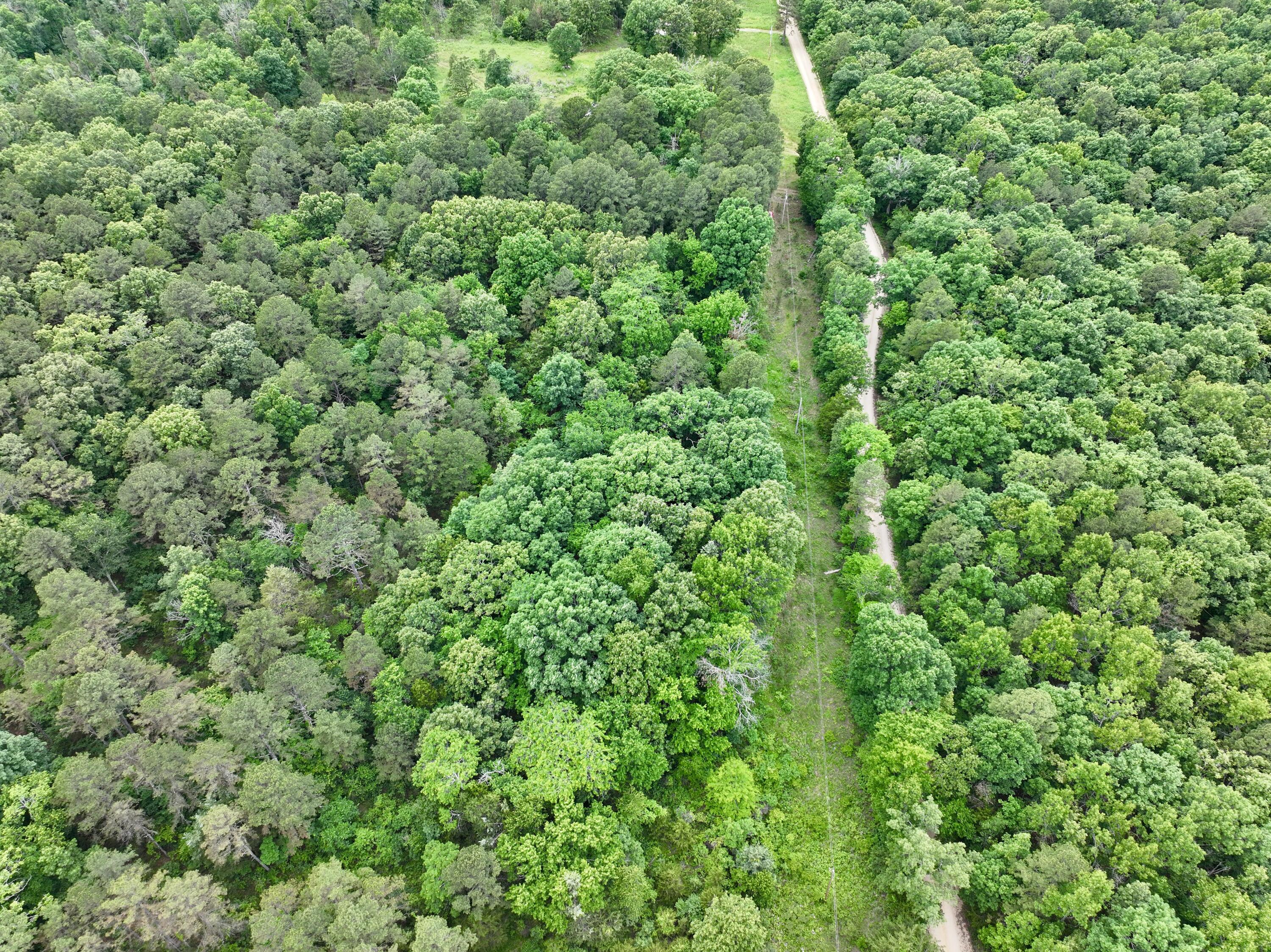 Photo 25 - Land for sale – 000  Carter 242   Grandin, MO