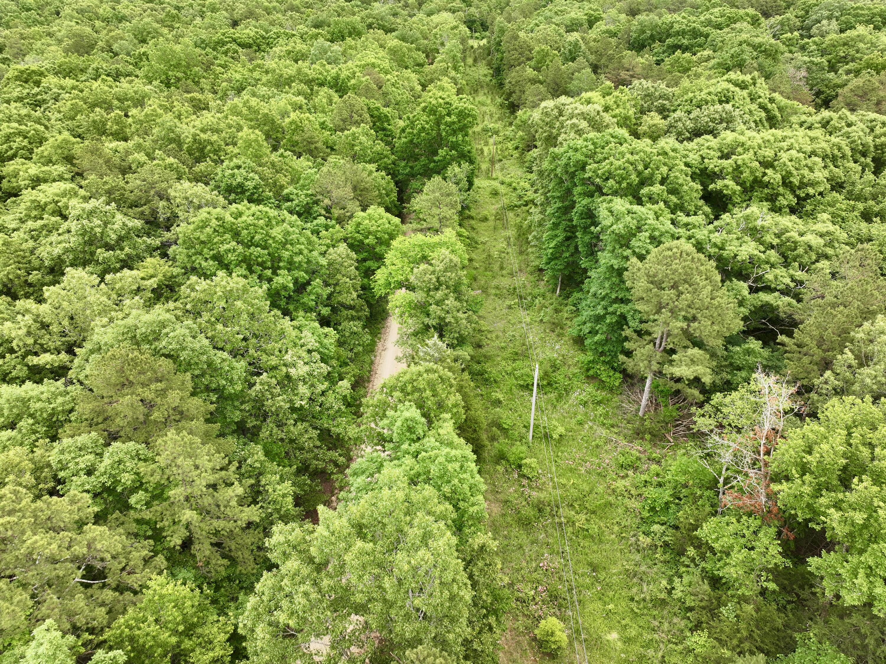 Photo 26 - Land for sale – 000  Carter 242   Grandin, MO