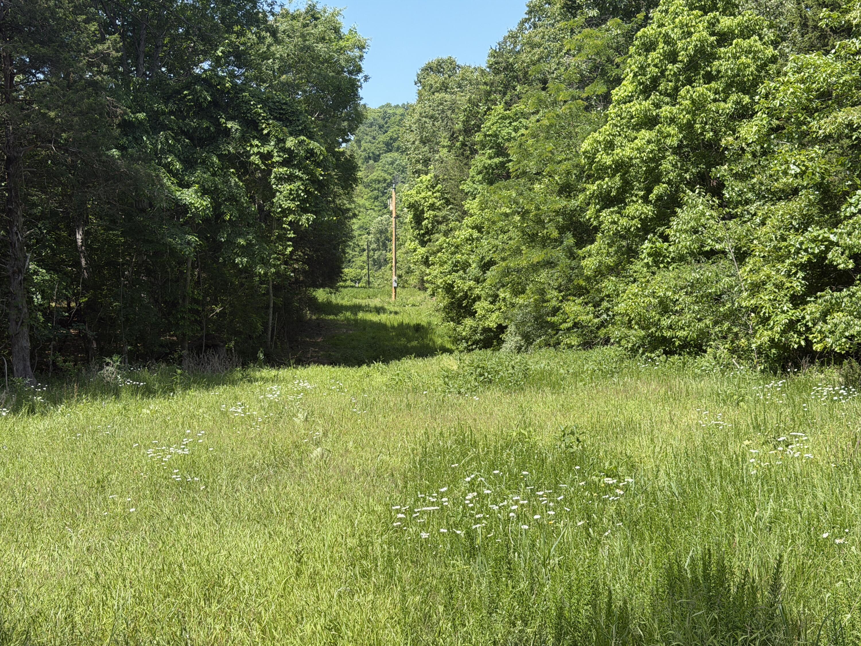 Photo 30 - Land for sale – 000  County Road 318   Tecumseh, MO