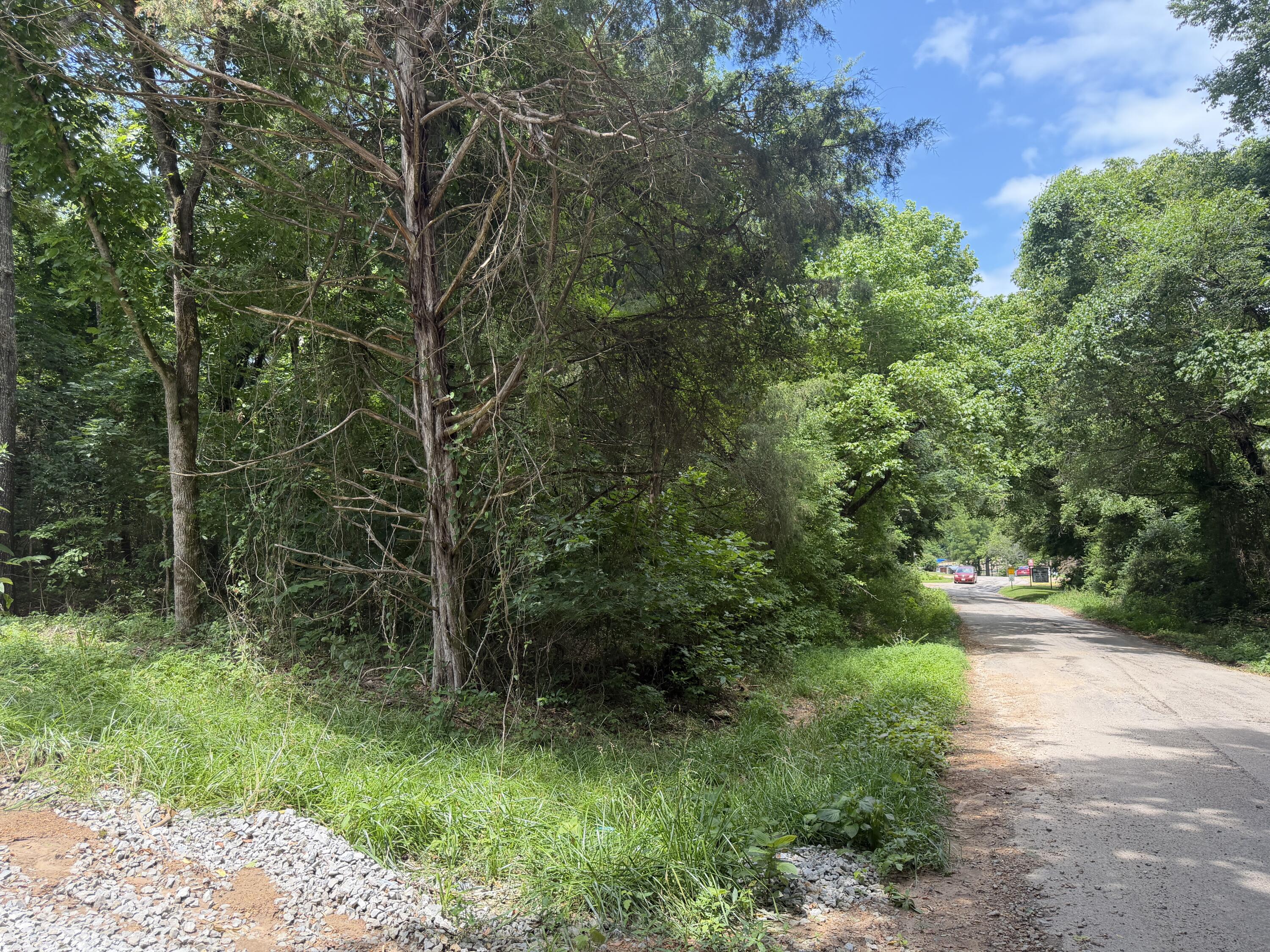 Land for sale – 000  County Road 318   Tecumseh, MO