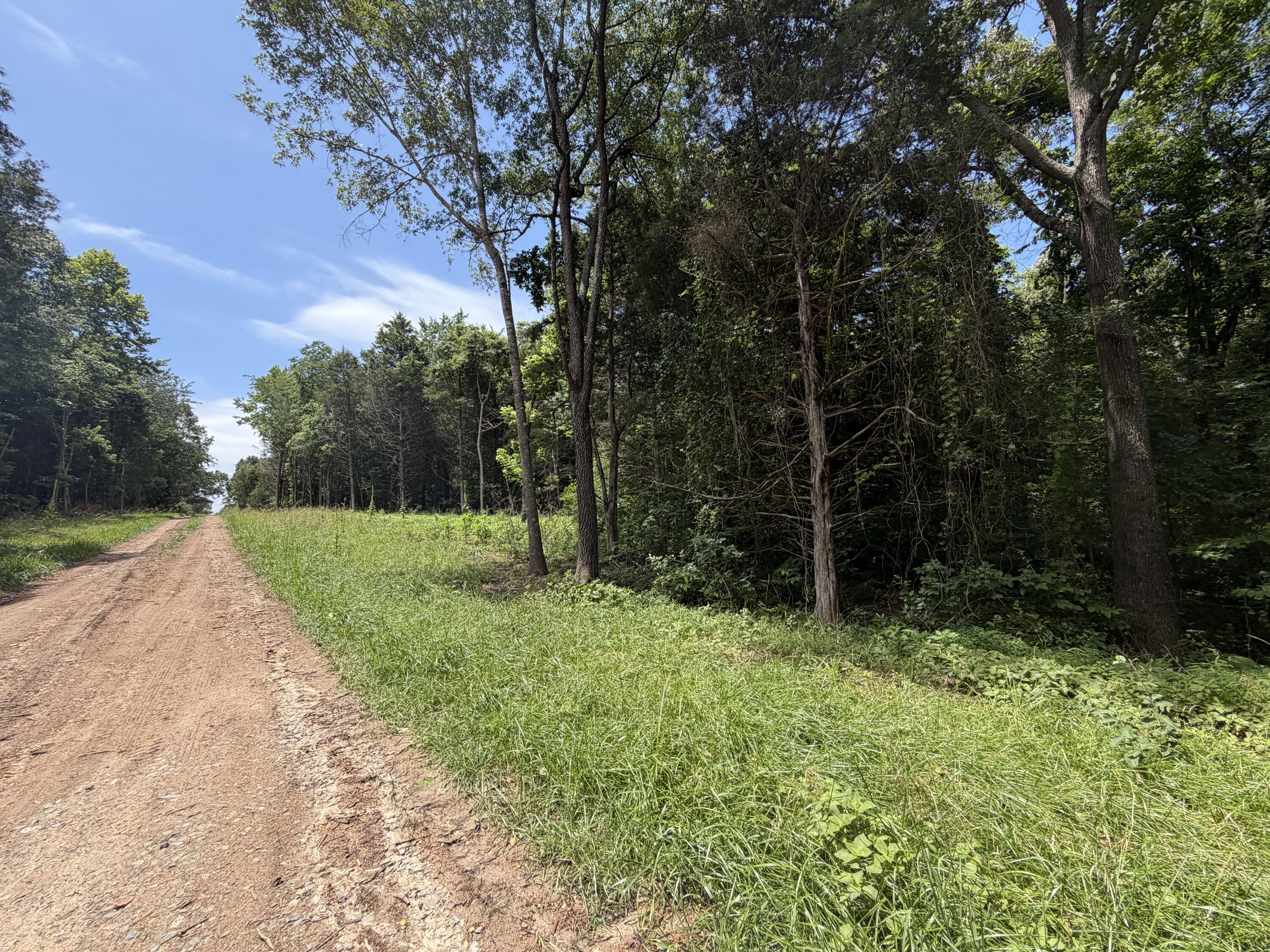 Photo 2 - Land for sale – 000  County Road 318   Tecumseh, MO