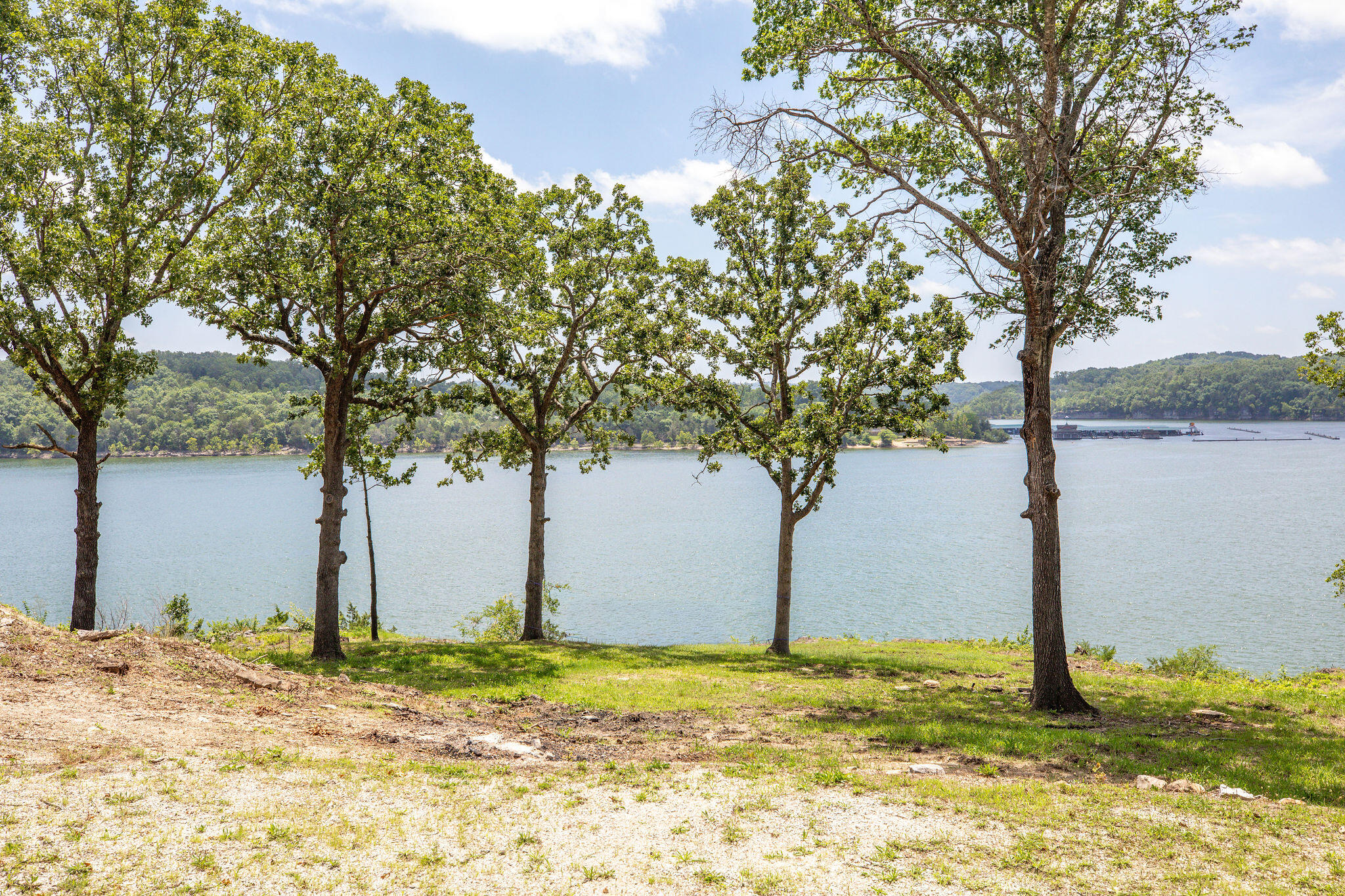 Photo 3 - Land for sale – 314  6th Avenue  Ridgedale, MO