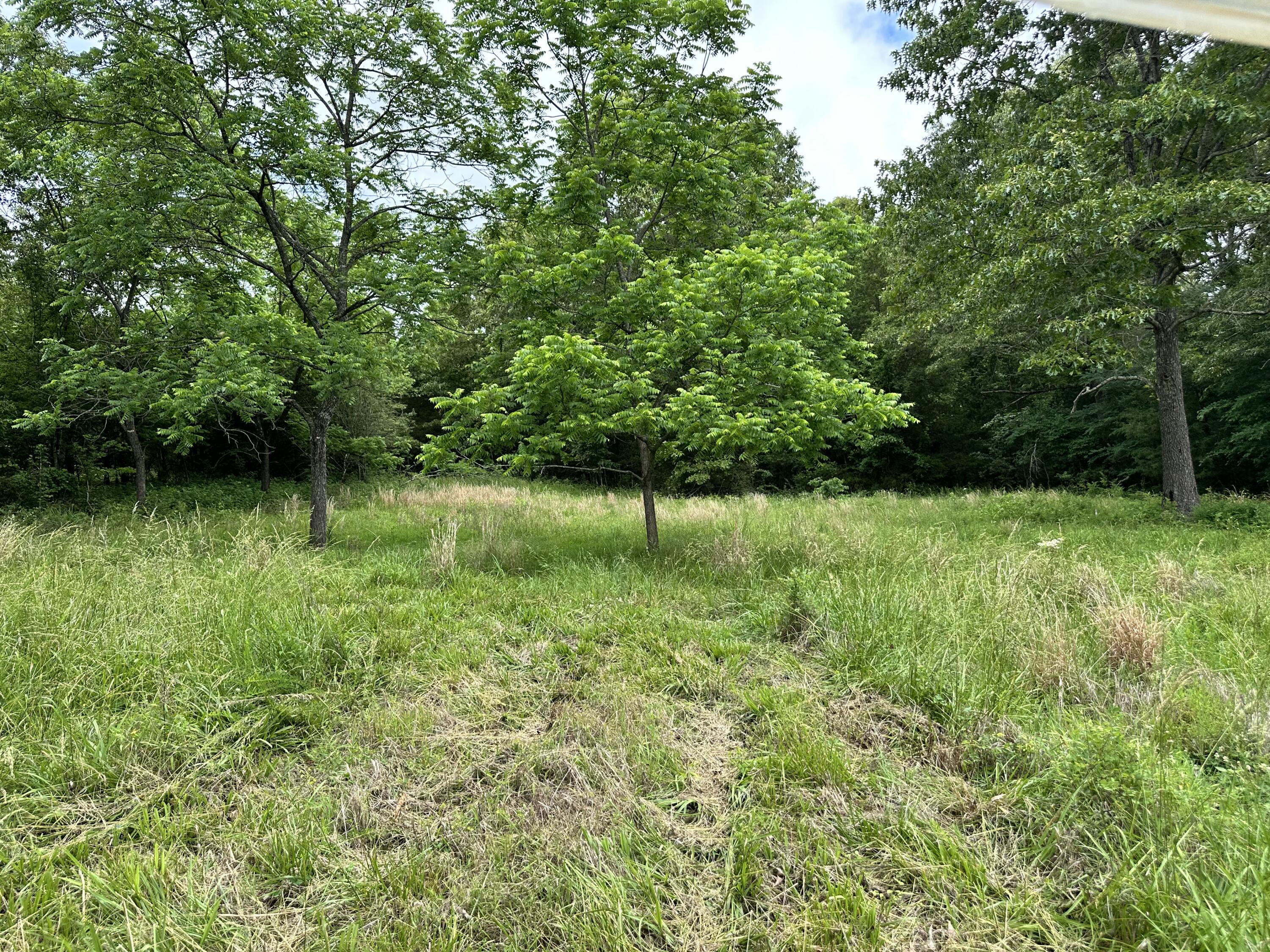 Photo 57 - Residential for sale – 213  Trace Creek Trail   Mammoth Spring, AR