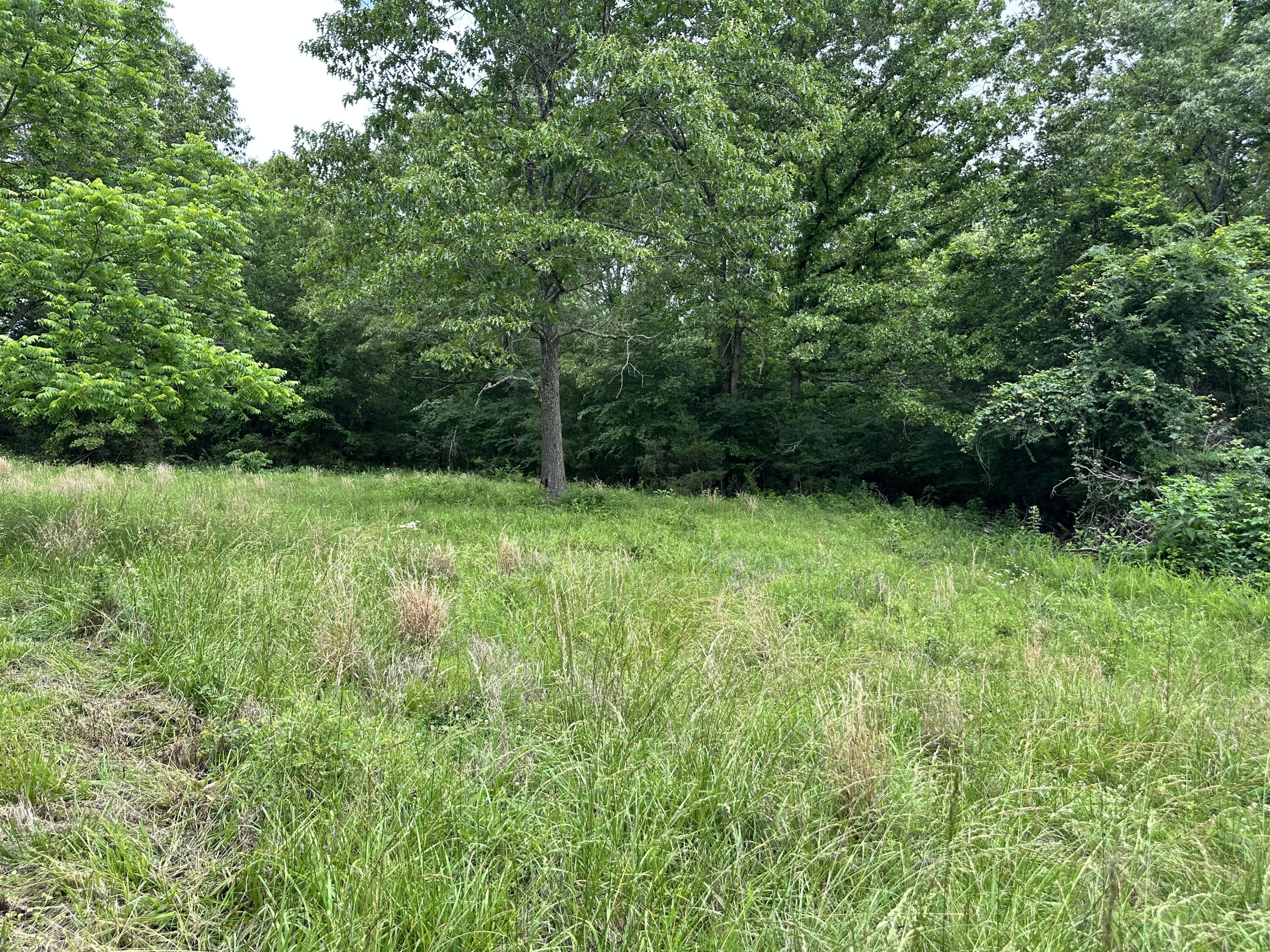 Photo 58 - Residential for sale – 213  Trace Creek Trail   Mammoth Spring, AR