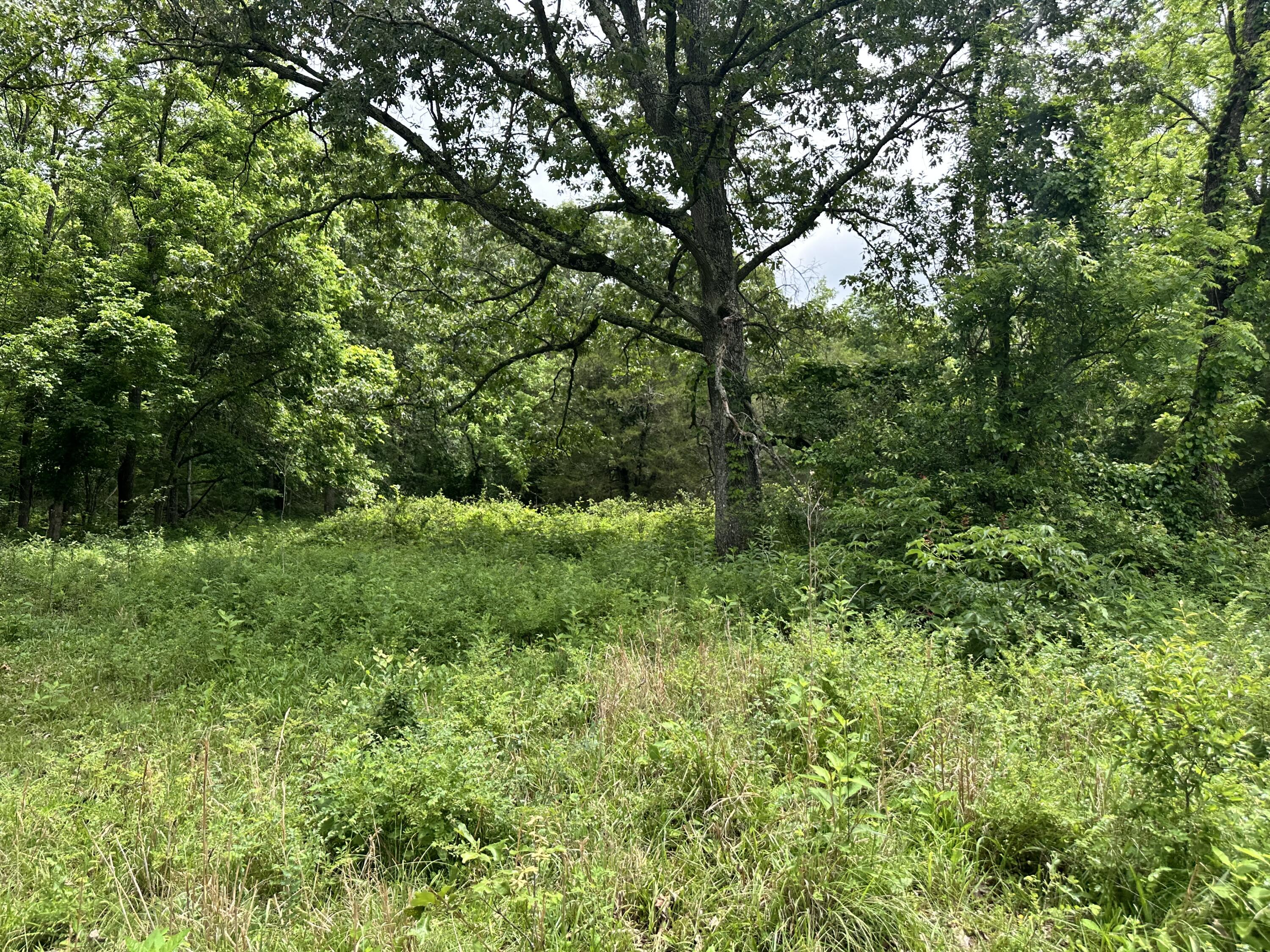 Photo 45 - Residential for sale – 213  Trace Creek Trail   Mammoth Spring, AR