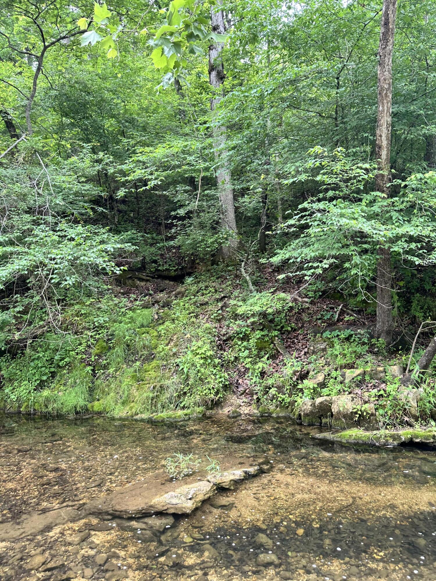 Photo 37 - Residential for sale – 213  Trace Creek Trail   Mammoth Spring, AR