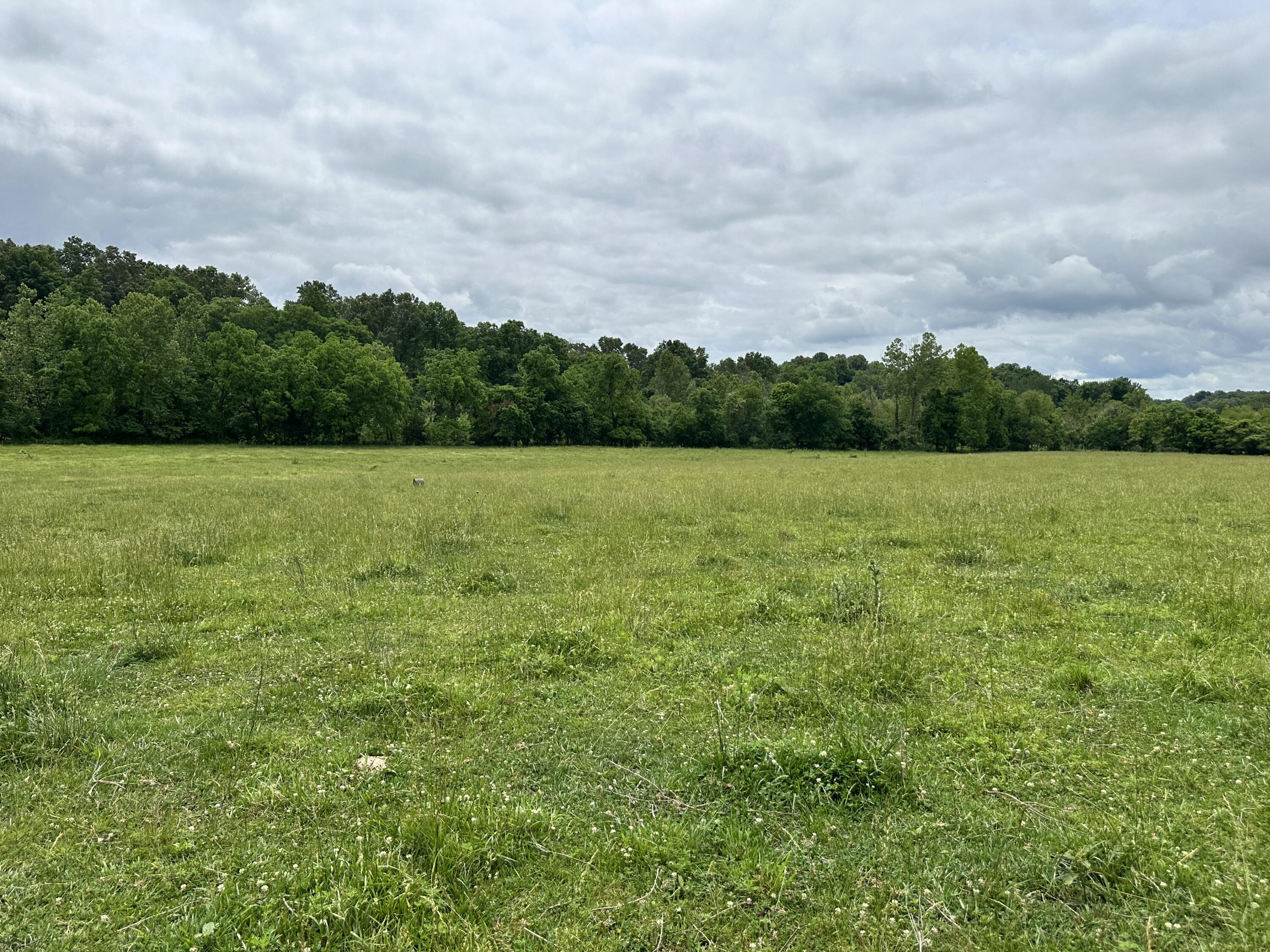 Photo 36 - Residential for sale – 213  Trace Creek Trail   Mammoth Spring, AR