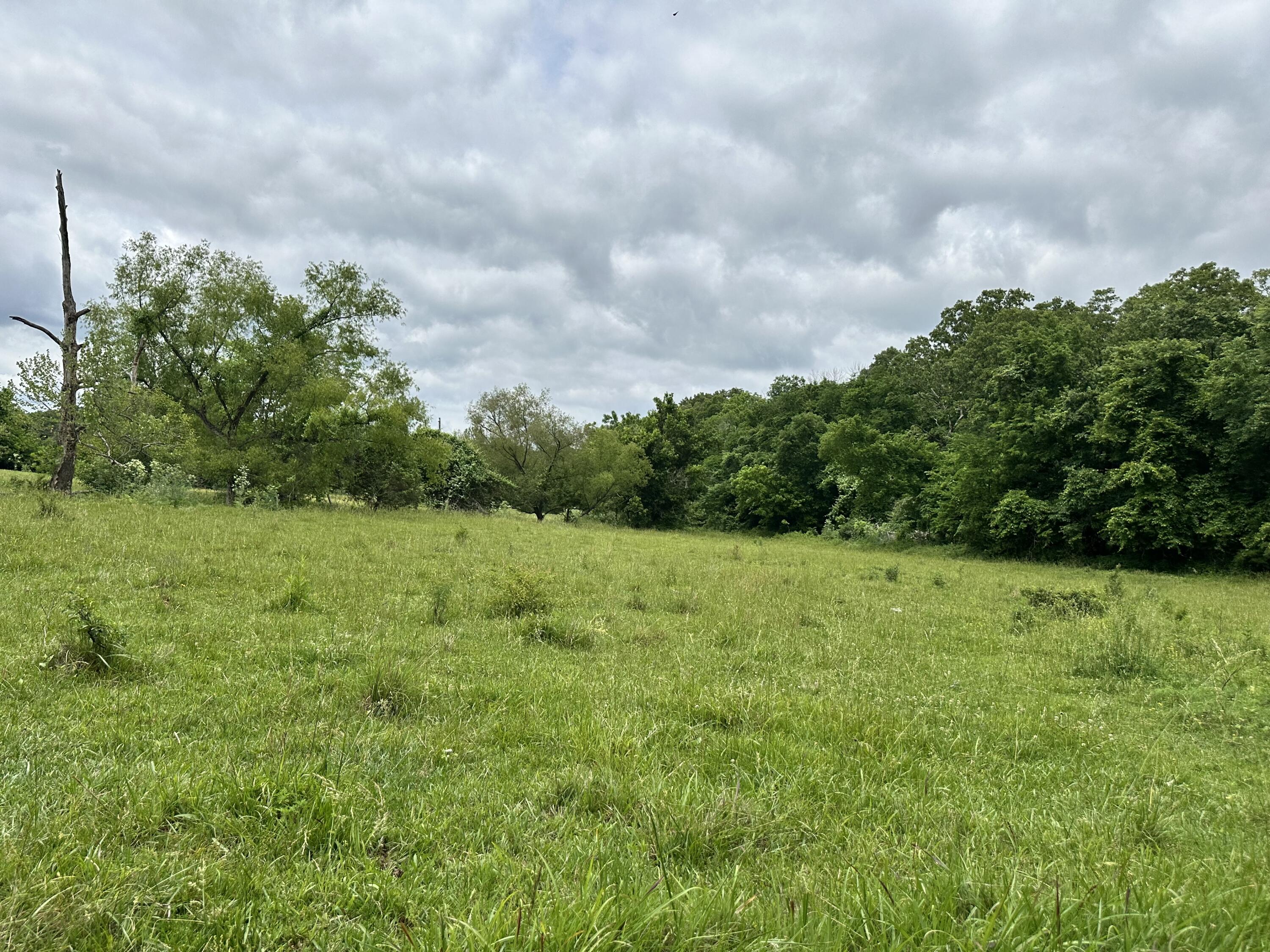 Photo 56 - Residential for sale – 213  Trace Creek Trail   Mammoth Spring, AR