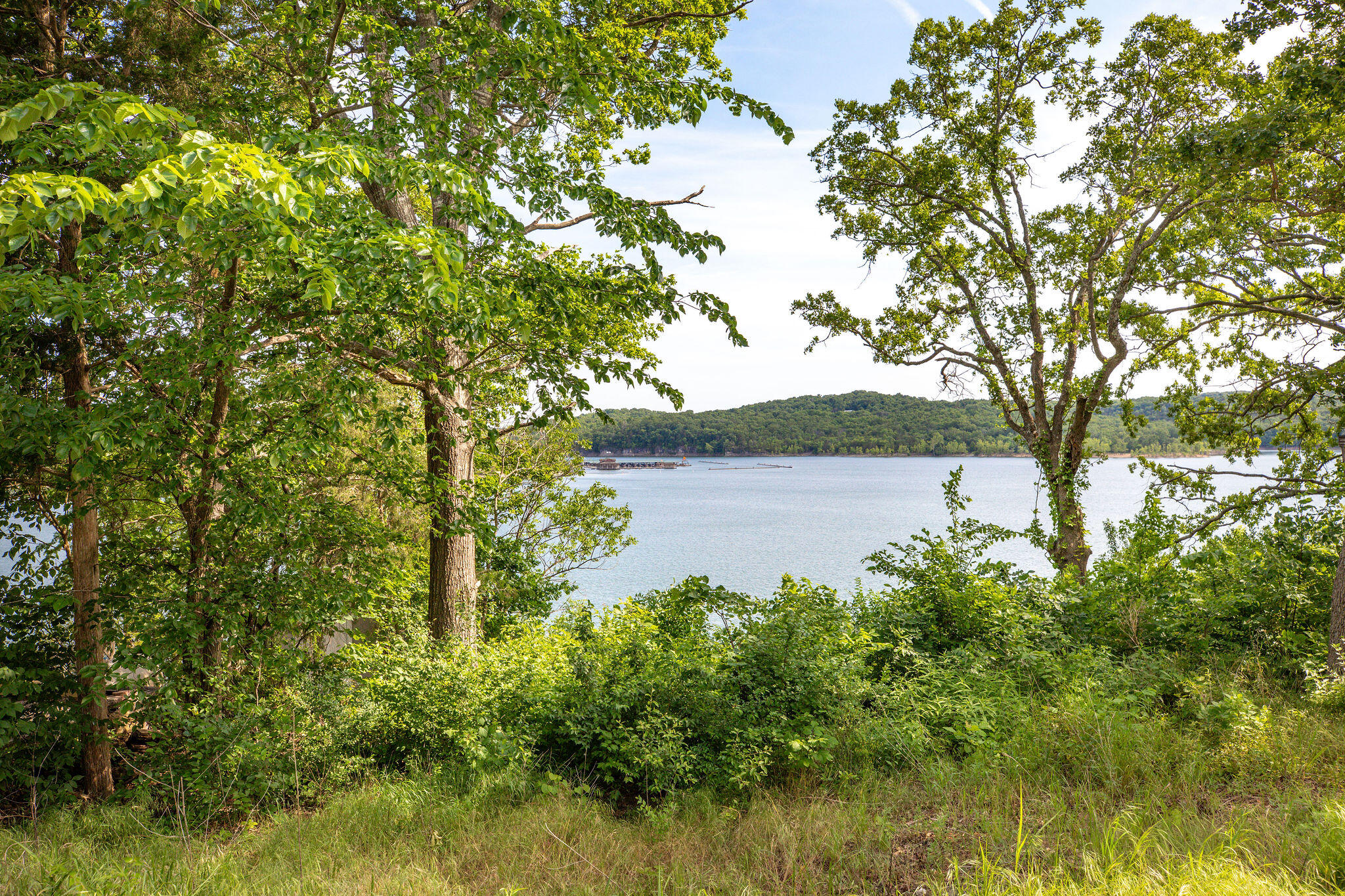 Photo 2 - Land for sale – Tbd  Lots 17,18,20  5th Avenue  Ridgedale, MO