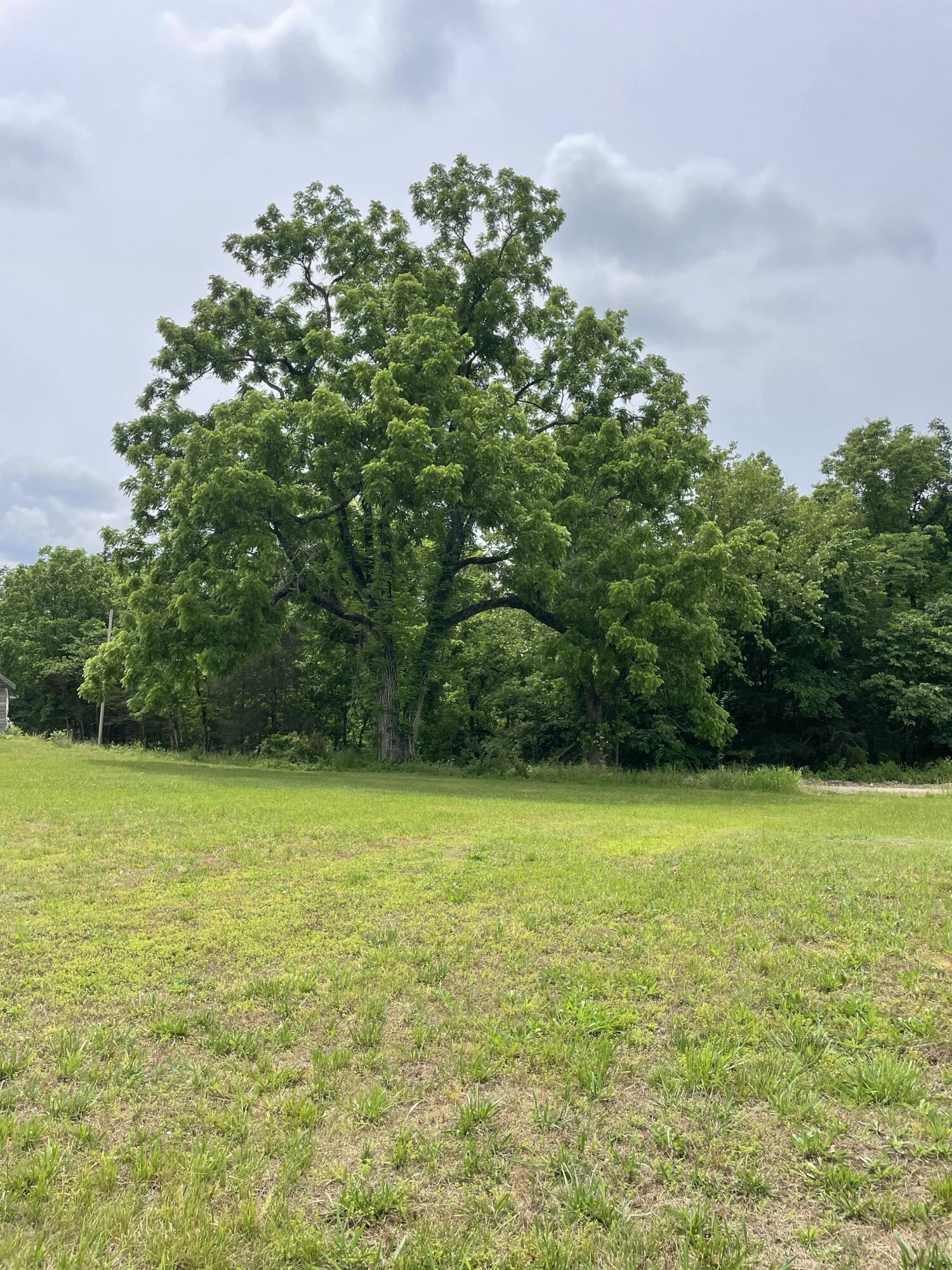 Photo 25 - Residential for sale – 3752  County Road 855   Thornfield, MO