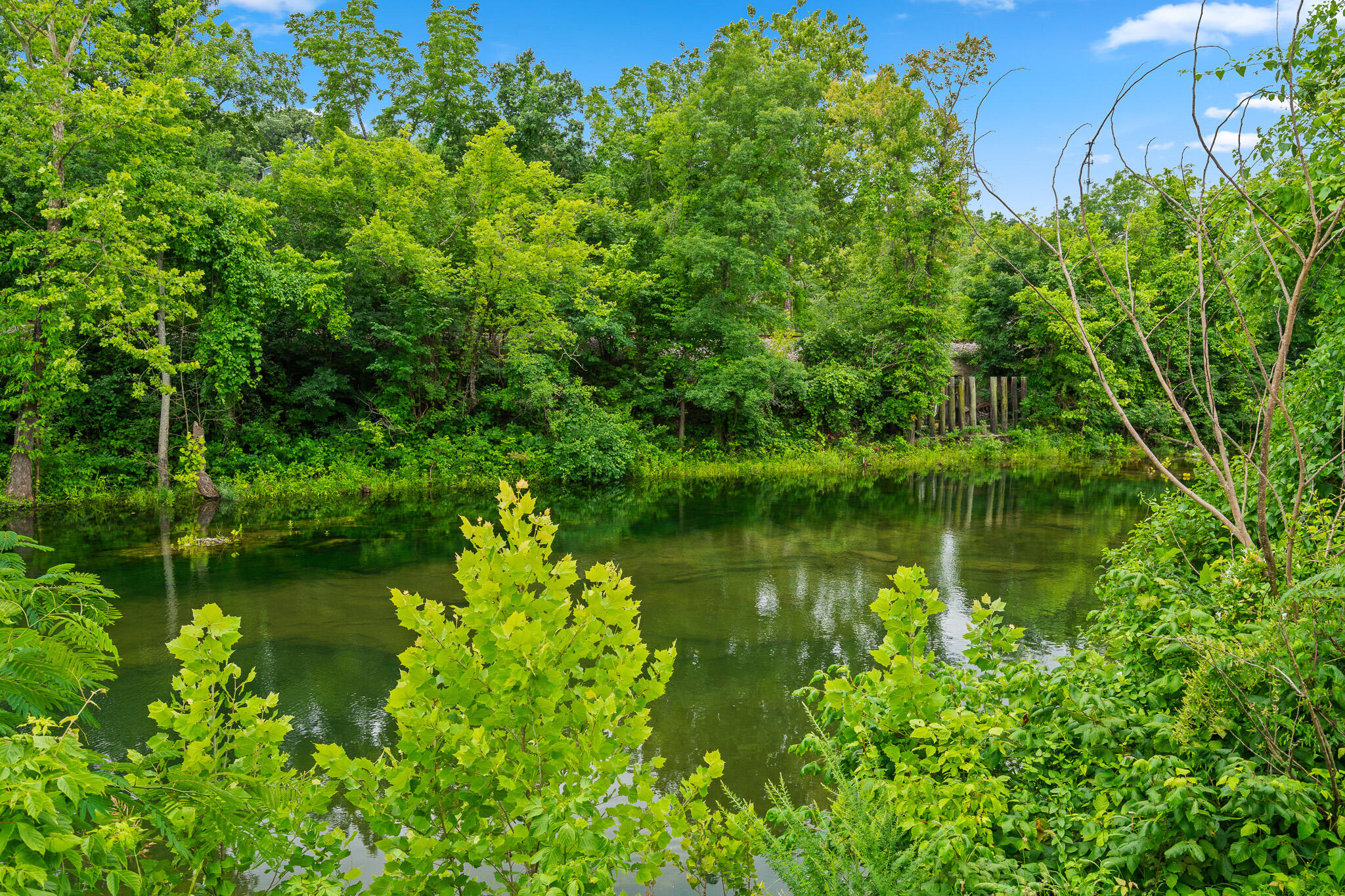 Photo 20 - Residential for sale – 403  Veterans Boulevard  Branson, MO