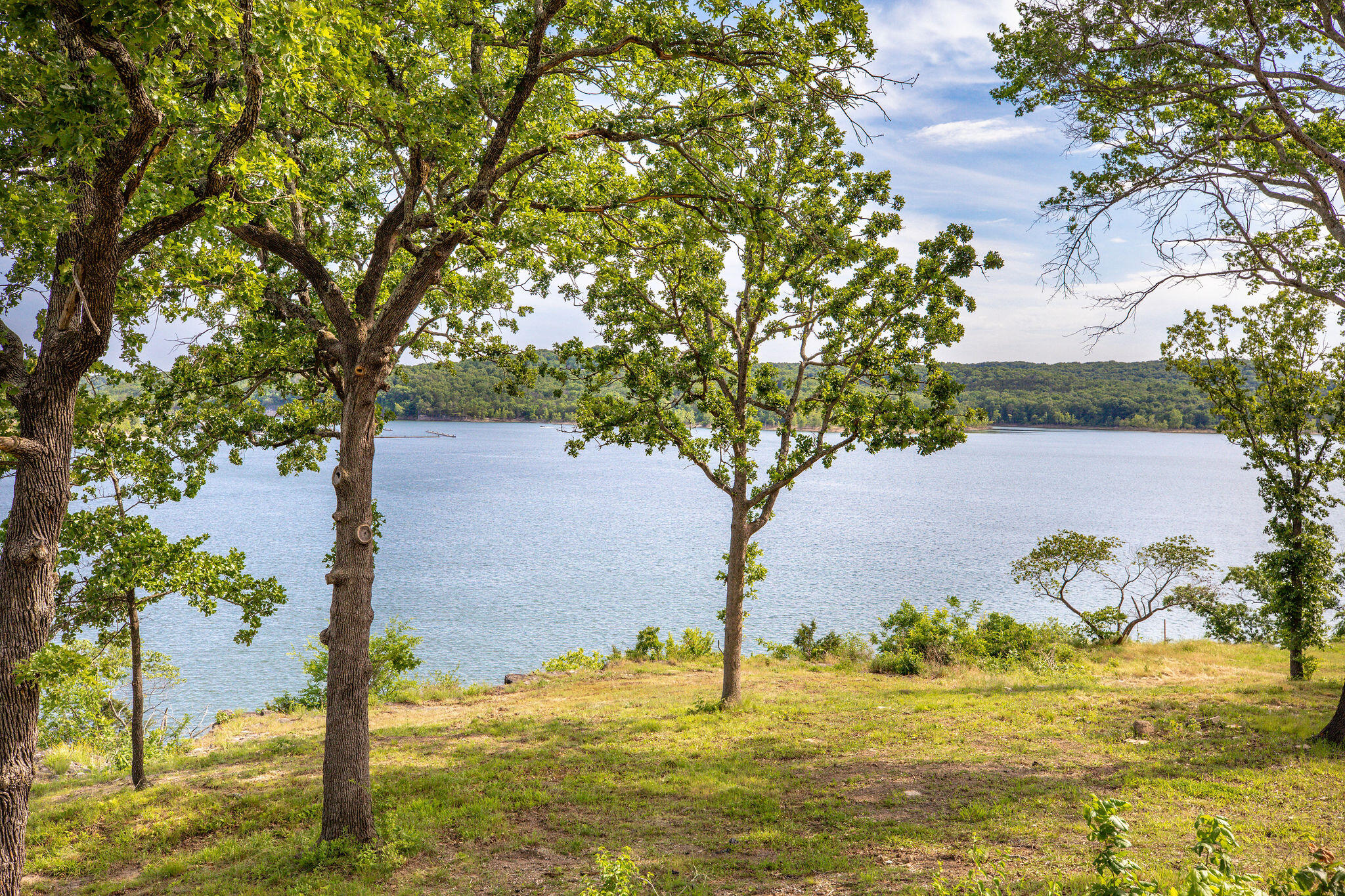 Photo 7 - Land for sale – 114  7th Avenue  Ridgedale, MO