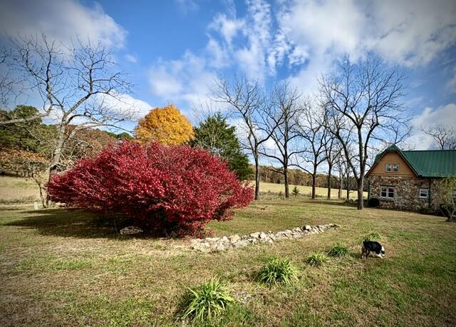 Photo 36 - Residential for sale – 2886  County Road 382   Dora, MO