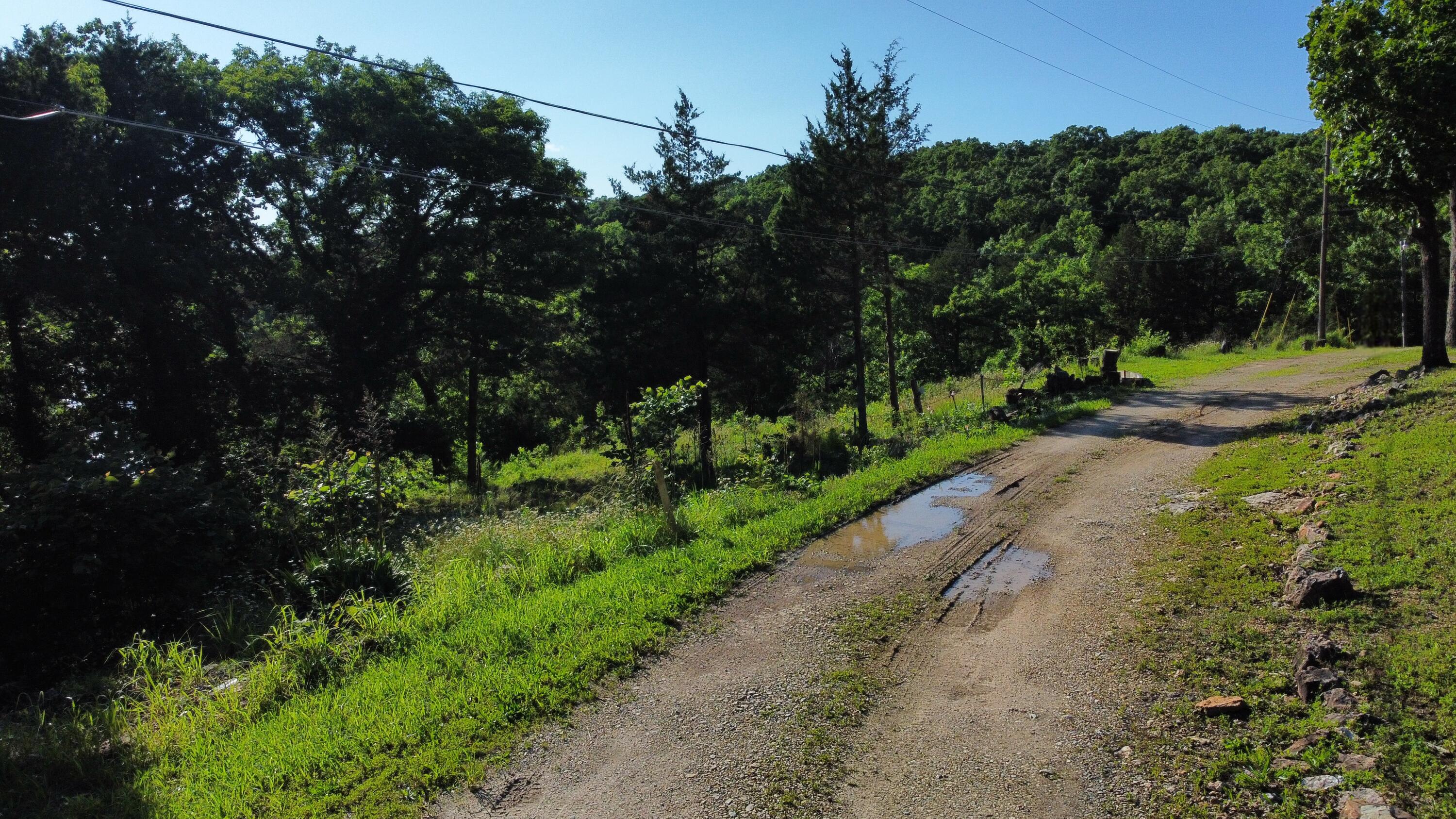 Photo 13 - Land for sale – 25960  Willow Road  Hermitage, MO