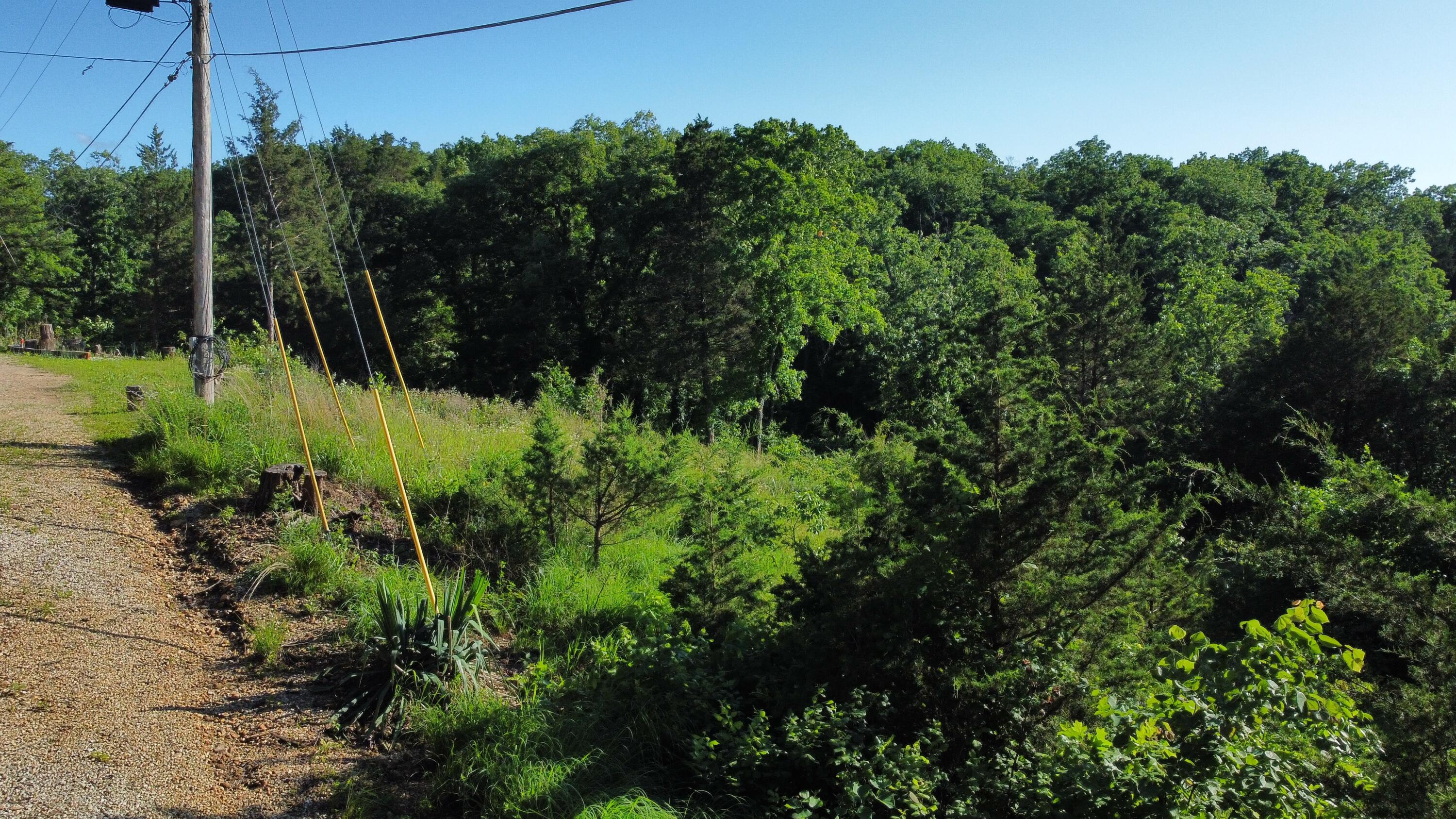 Photo 11 - Land for sale – 25960  Willow Road  Hermitage, MO