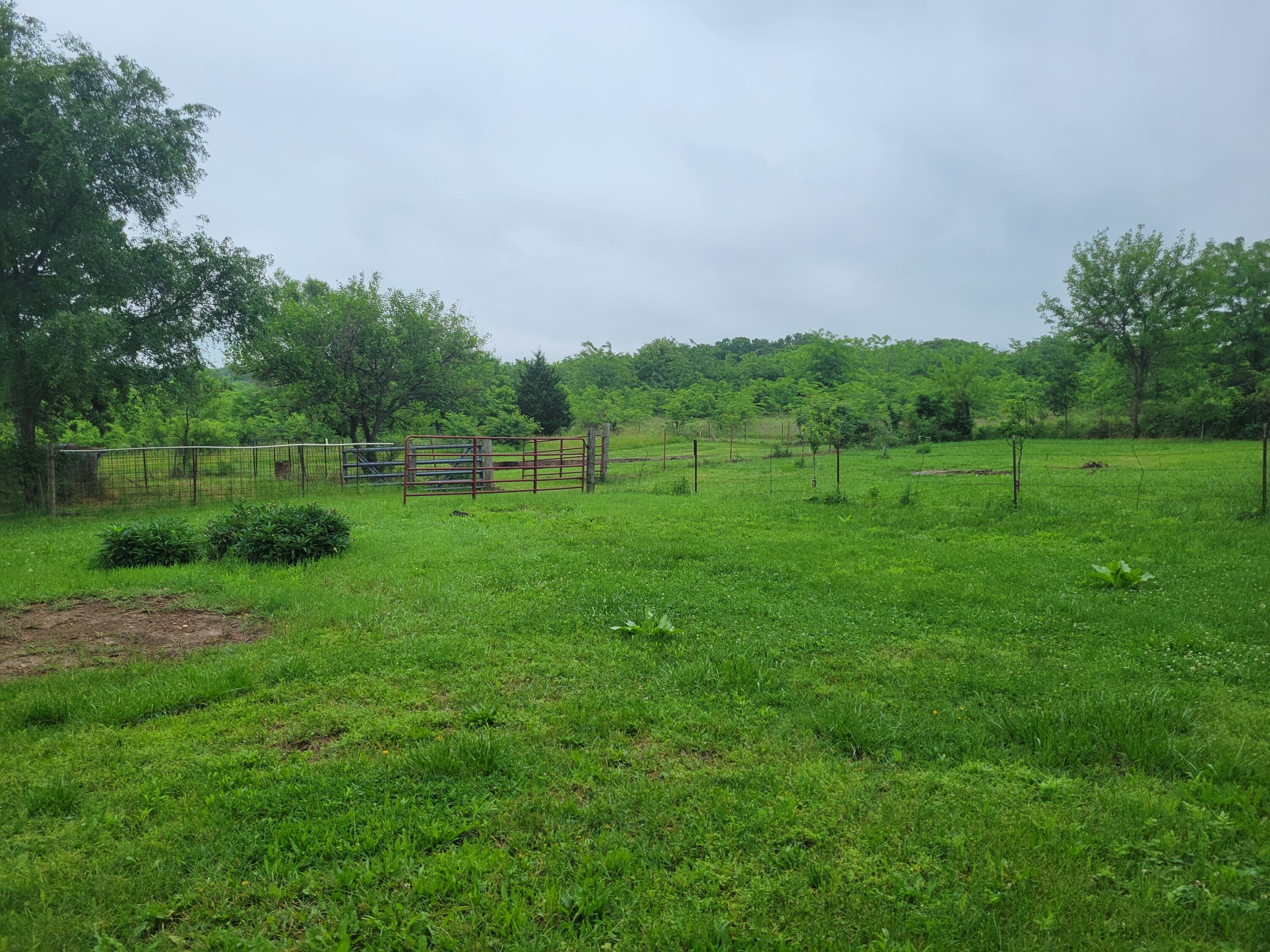 Photo 6 - Residential for sale – 3286 S 30th Road  Humansville, MO