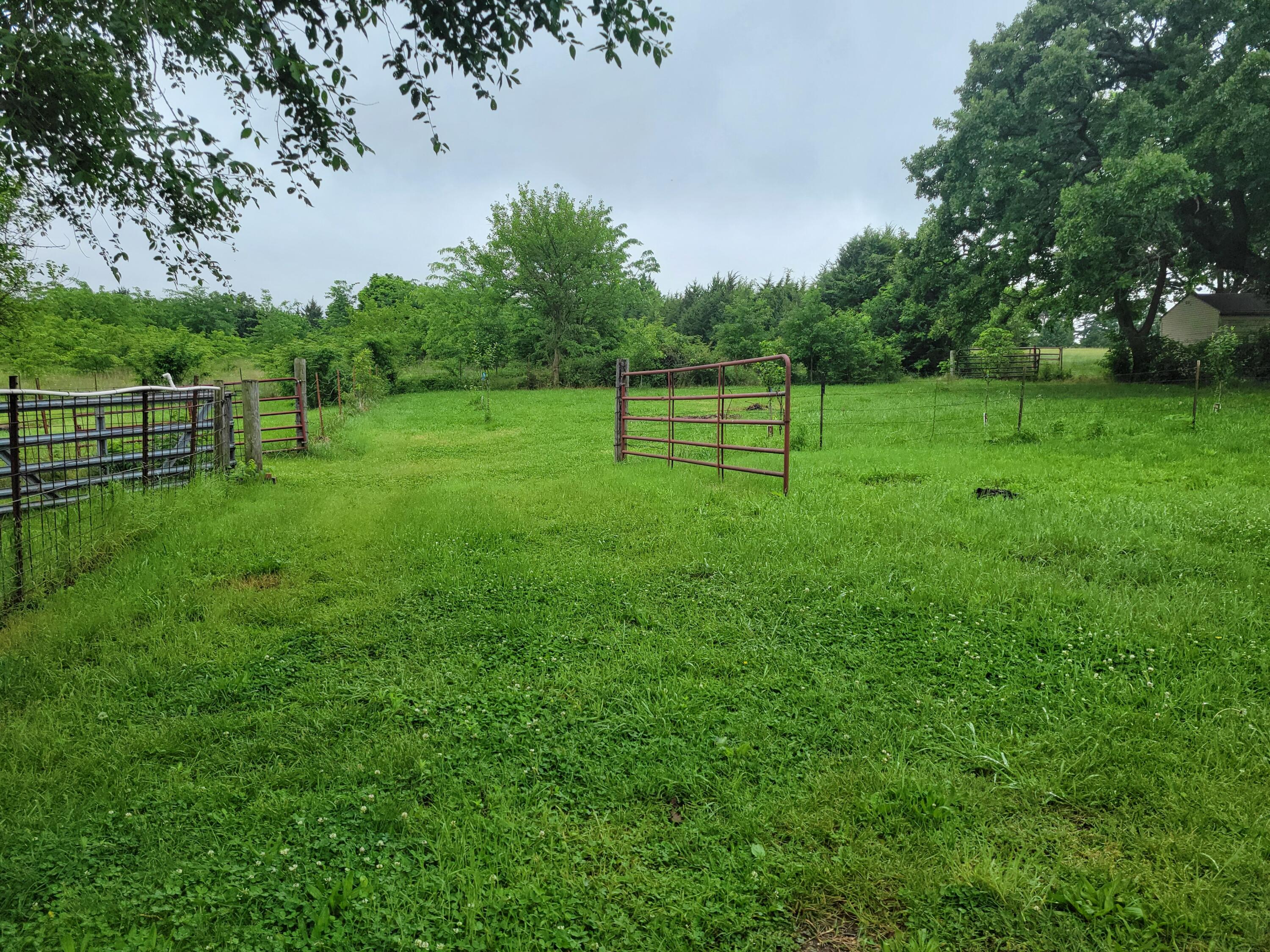 Photo 5 - Residential for sale – 3286 S 30th Road  Humansville, MO