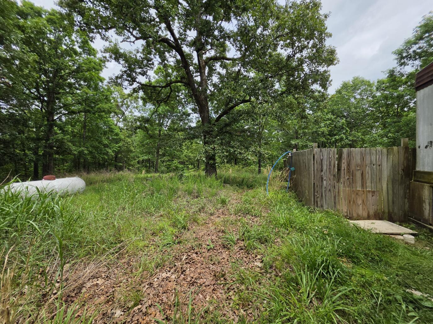 Photo 3 - Residential for sale – 295  Black Oak Road  Mammoth Spring, AR