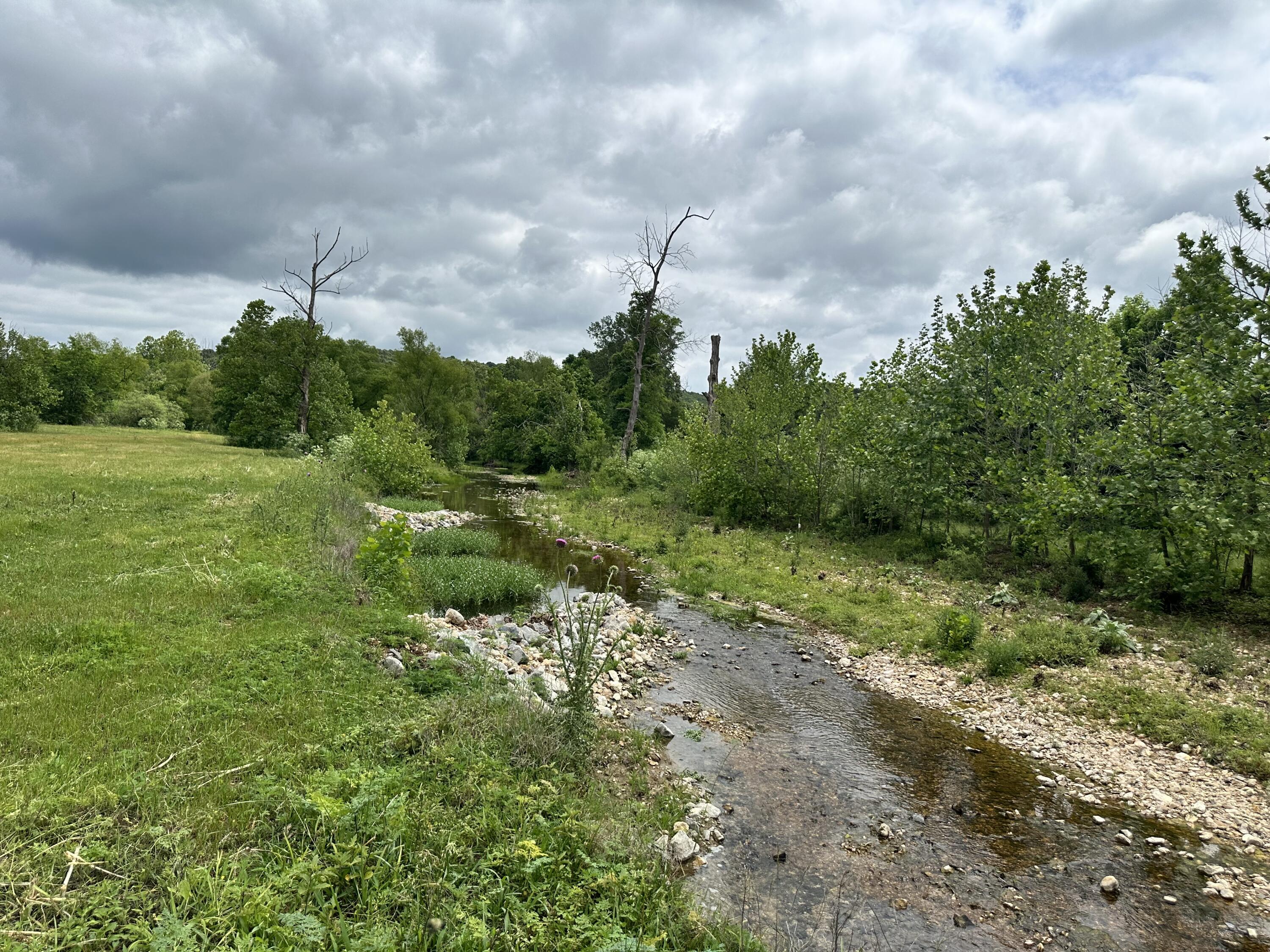 Photo 49 - Farm for sale – 213  Trace Creek Trail   Mammoth Spring, AR