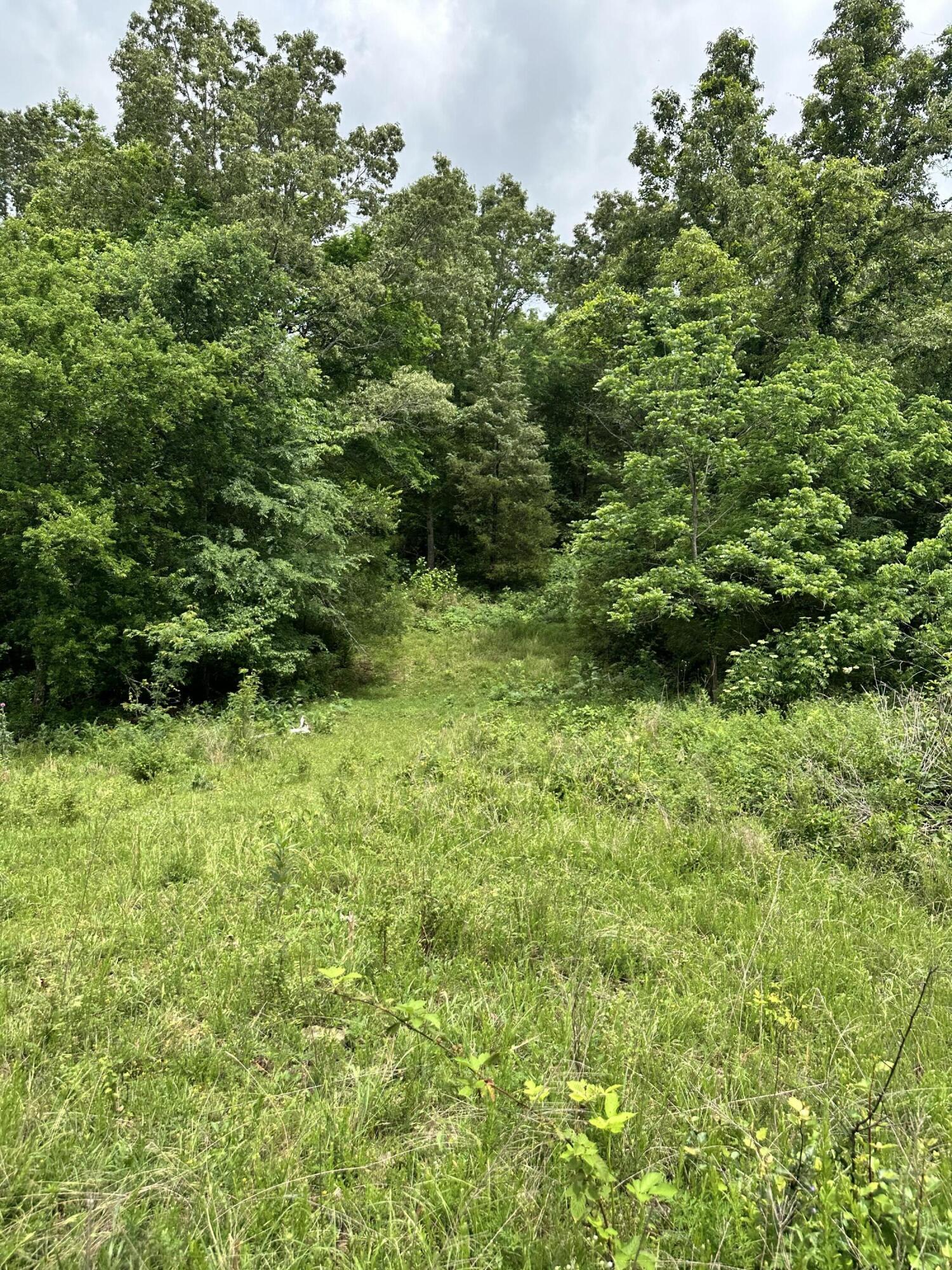 Photo 44 - Farm for sale – 213  Trace Creek Trail   Mammoth Spring, AR