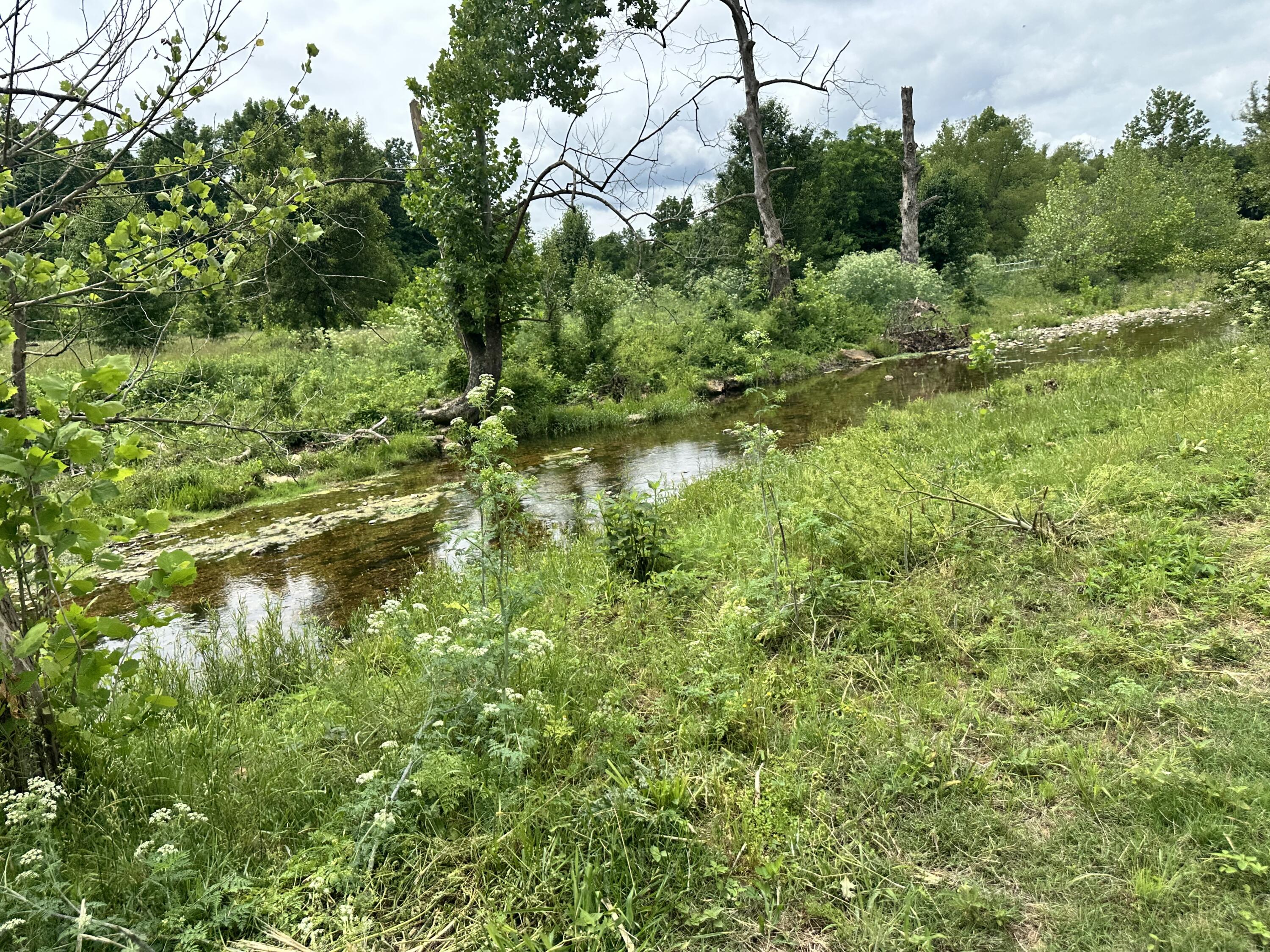 Photo 48 - Farm for sale – 213  Trace Creek Trail   Mammoth Spring, AR