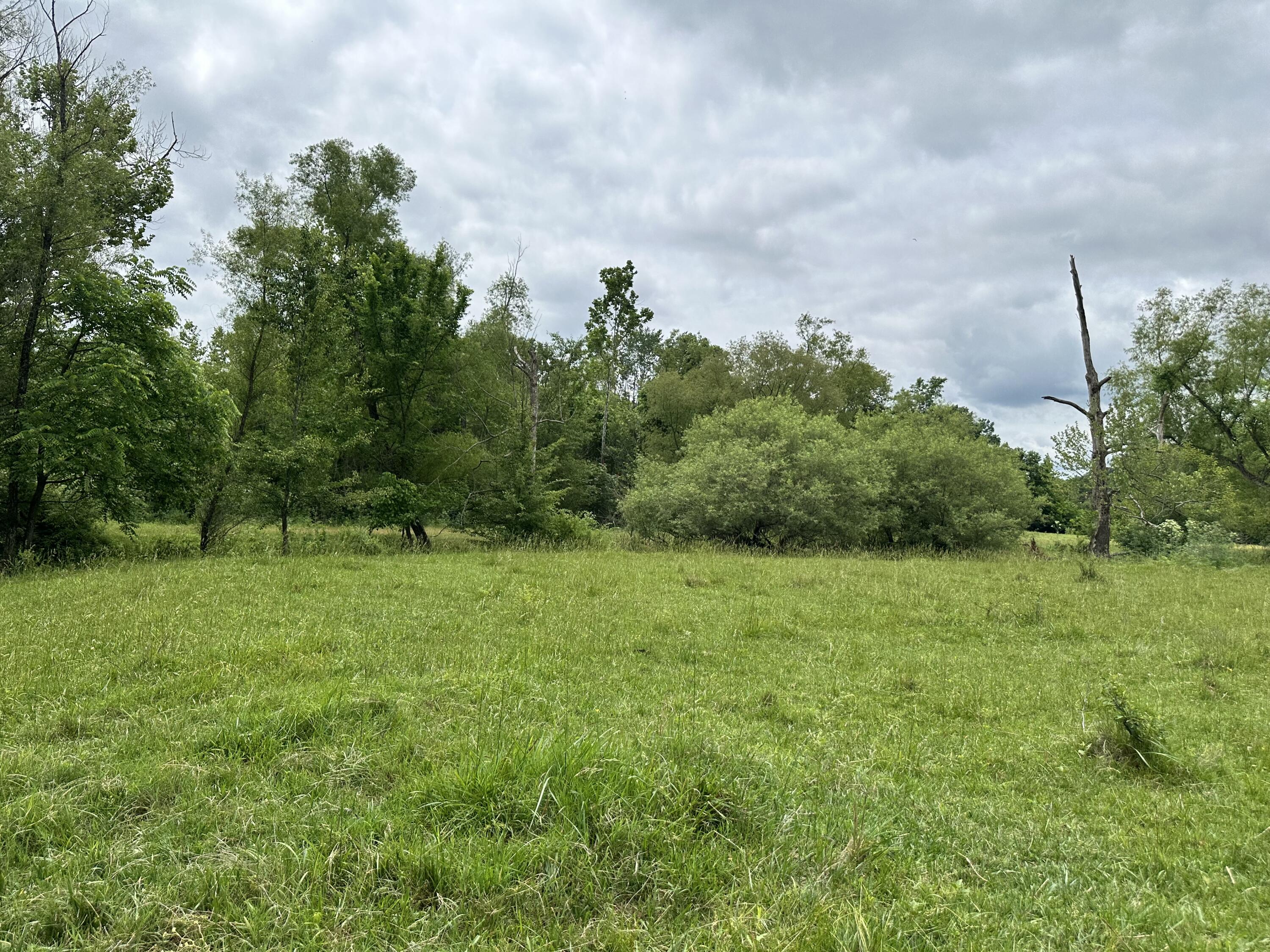 Photo 54 - Farm for sale – 213  Trace Creek Trail   Mammoth Spring, AR