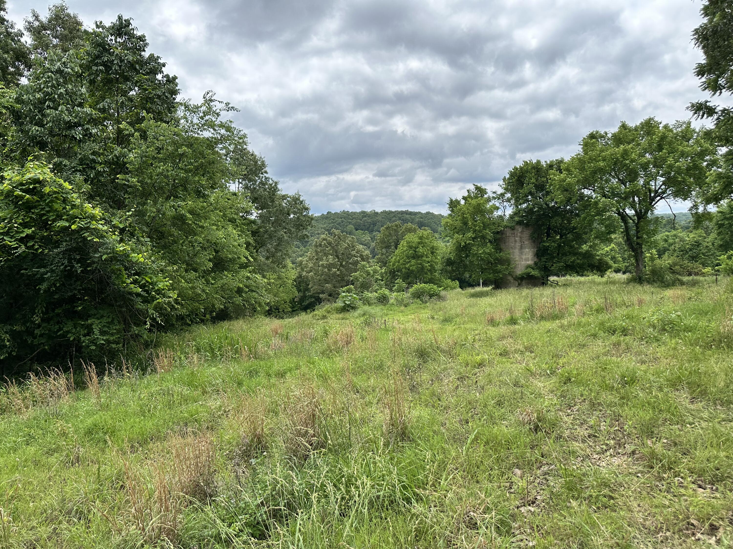 Photo 59 - Farm for sale – 213  Trace Creek Trail   Mammoth Spring, AR