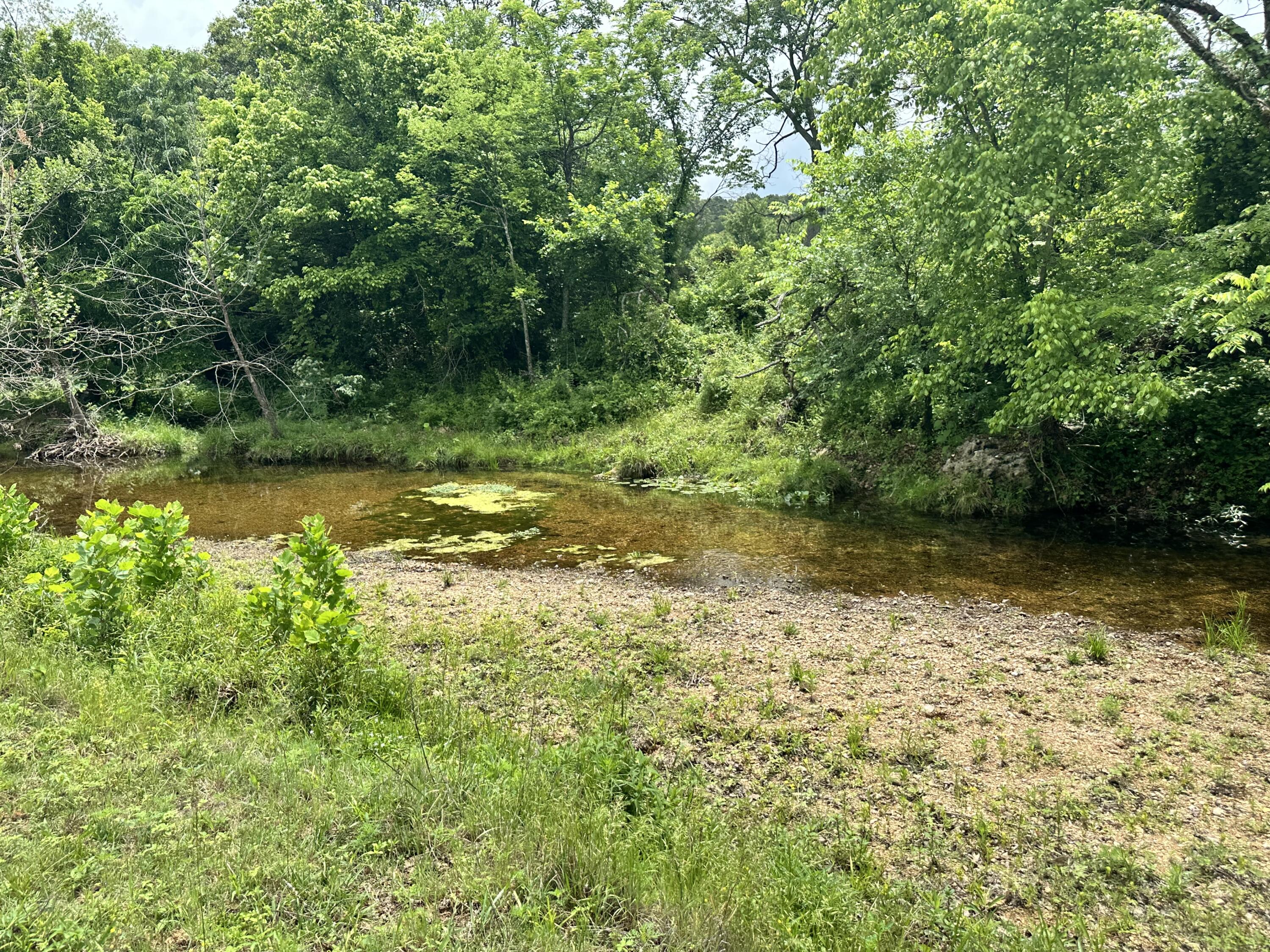 Photo 46 - Farm for sale – 213  Trace Creek Trail   Mammoth Spring, AR