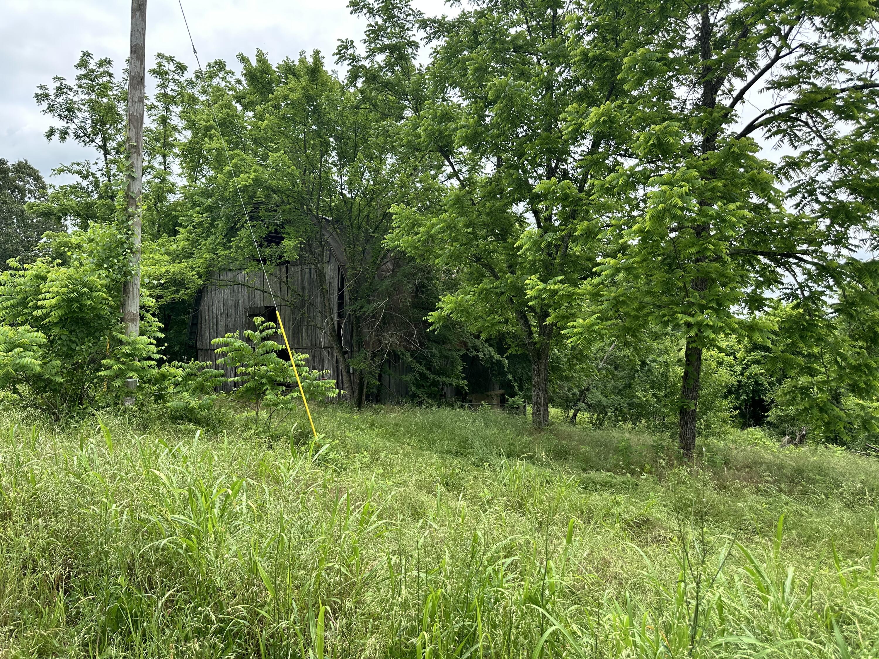 Photo 31 - Farm for sale – 213  Trace Creek Trail   Mammoth Spring, AR