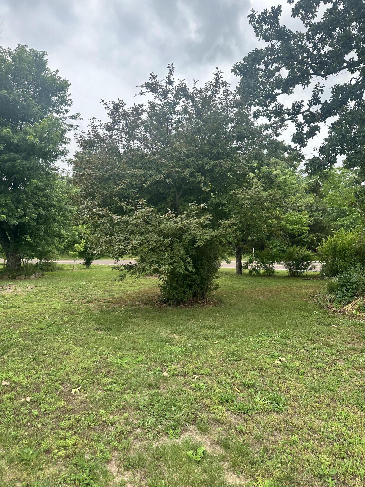 Photo 30 - Residential for sale – 17432  Mo 19   Alton, MO