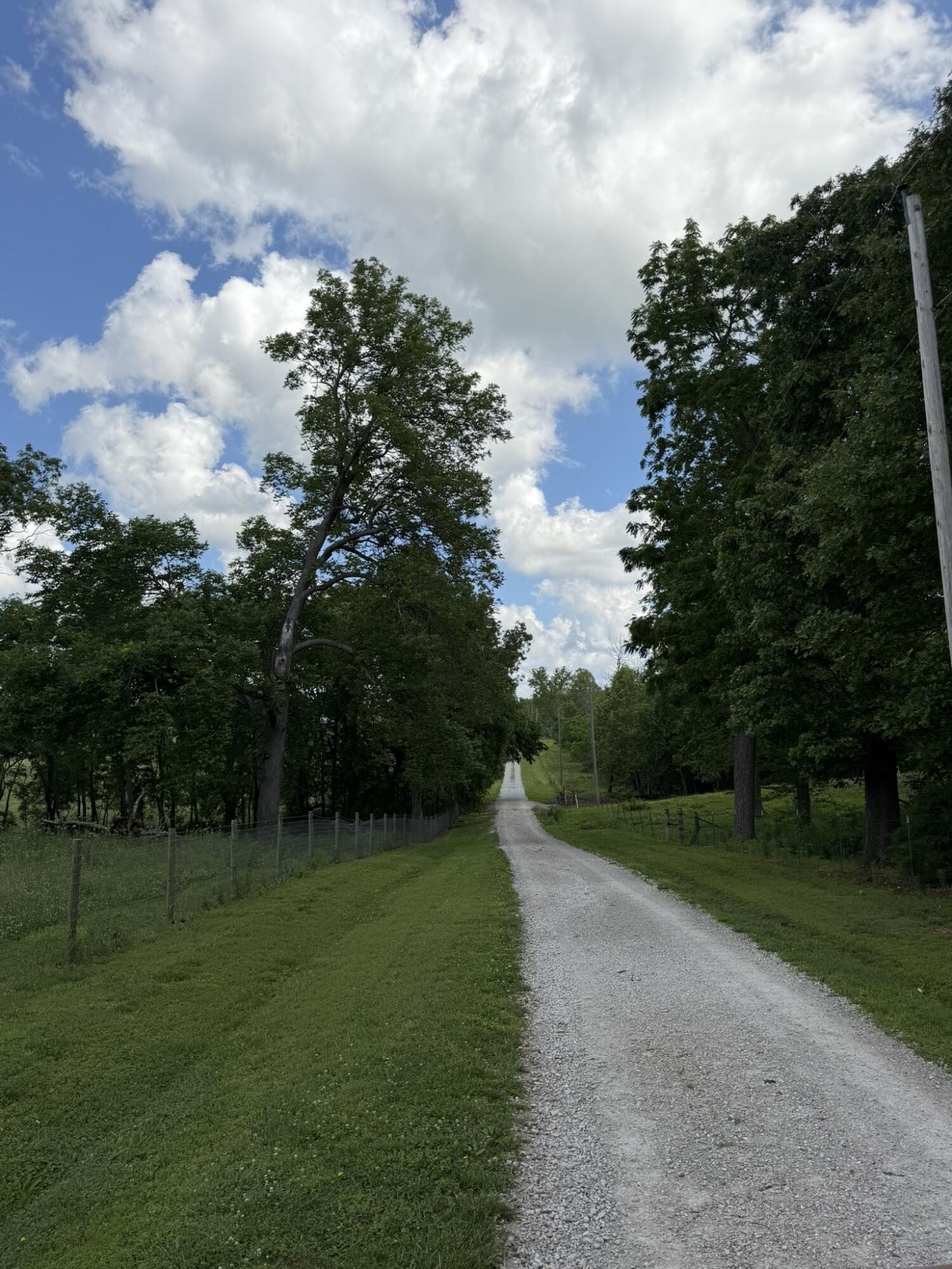 Photo 46 - Residential for sale – 258  State Highway 32   Buffalo, MO