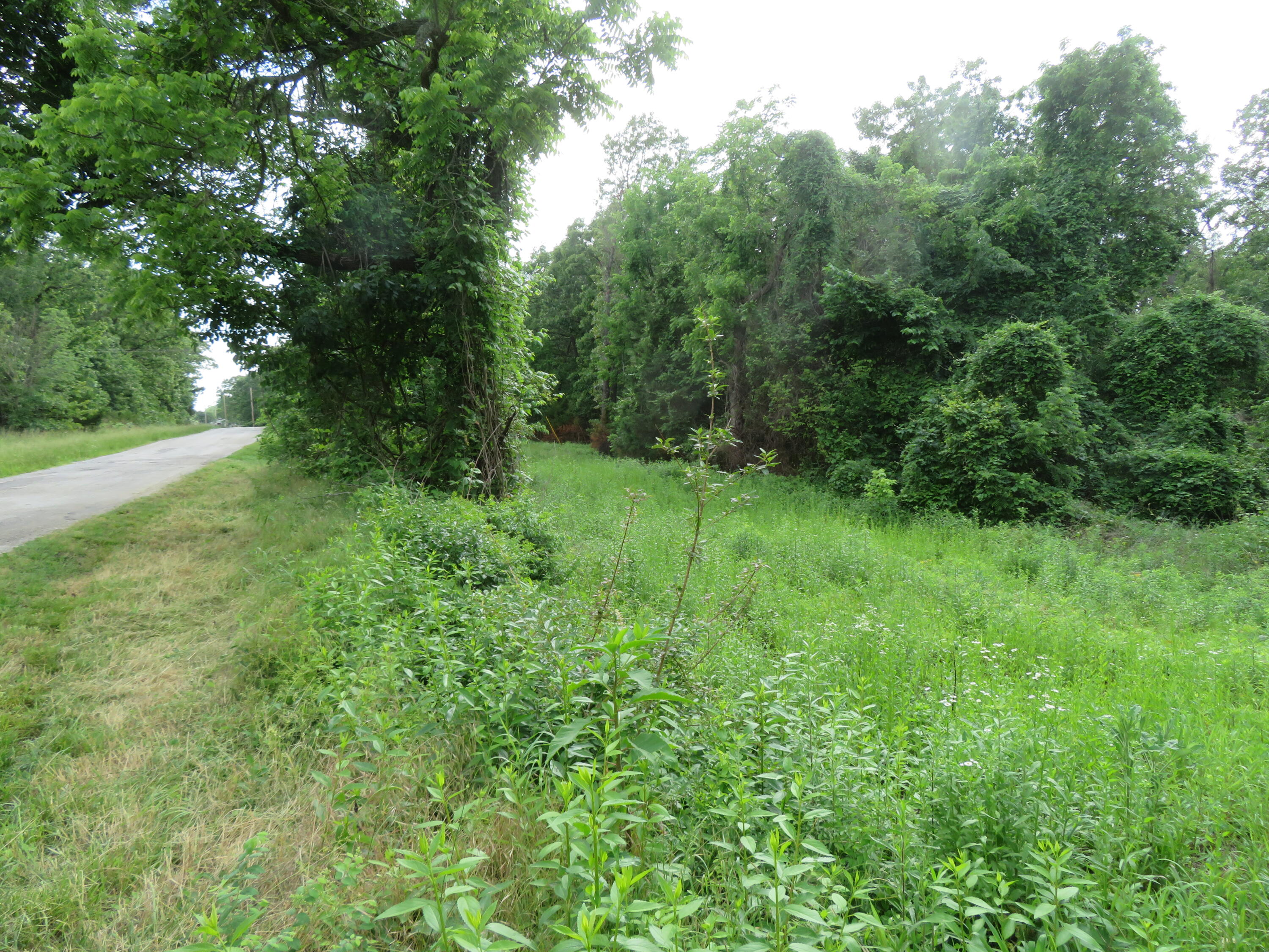 Photo 5 - Land for sale – 000 S 33rd Road  Humansville, MO