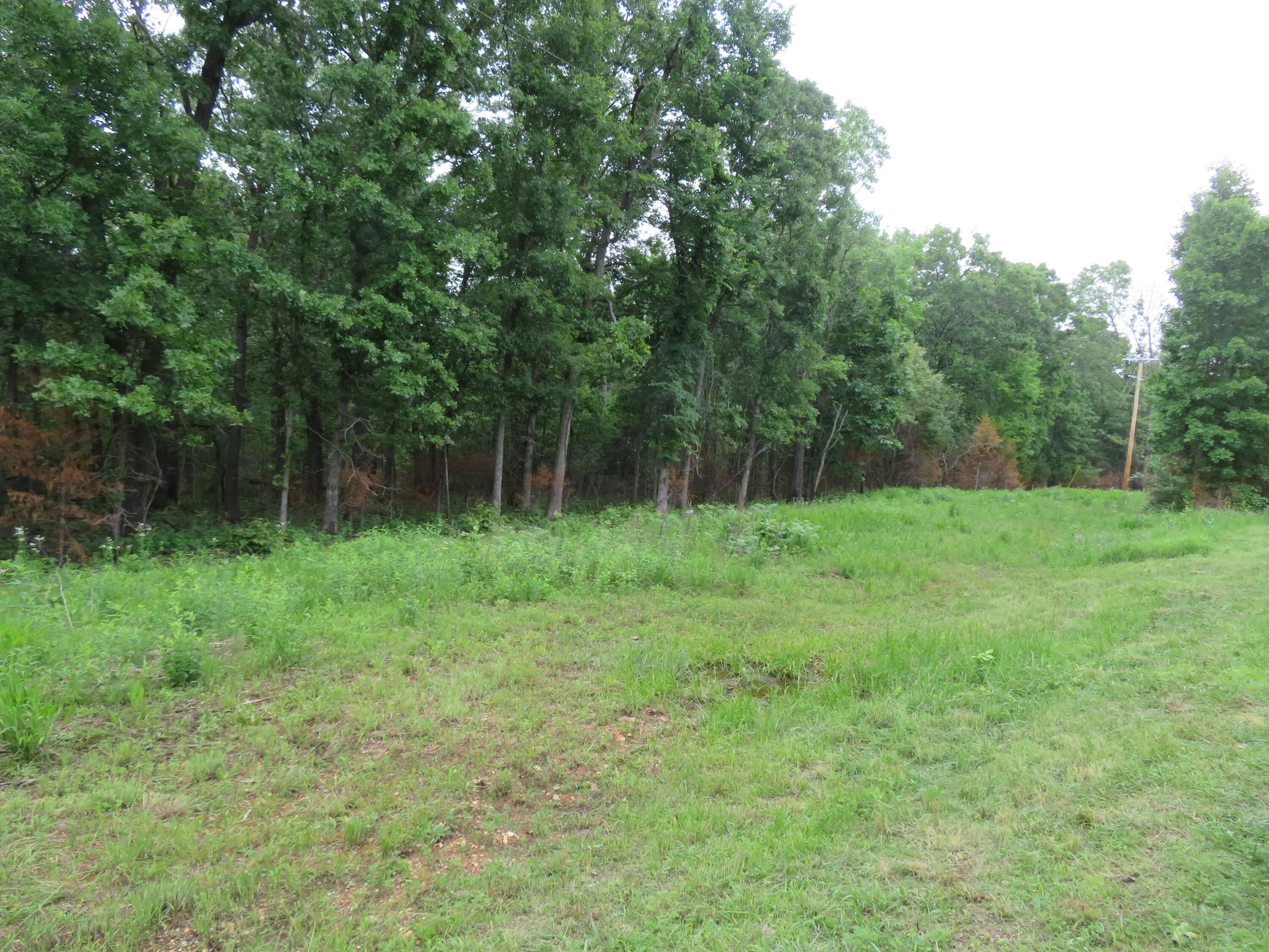 Photo 8 - Land for sale – 000 S 33rd Road  Humansville, MO