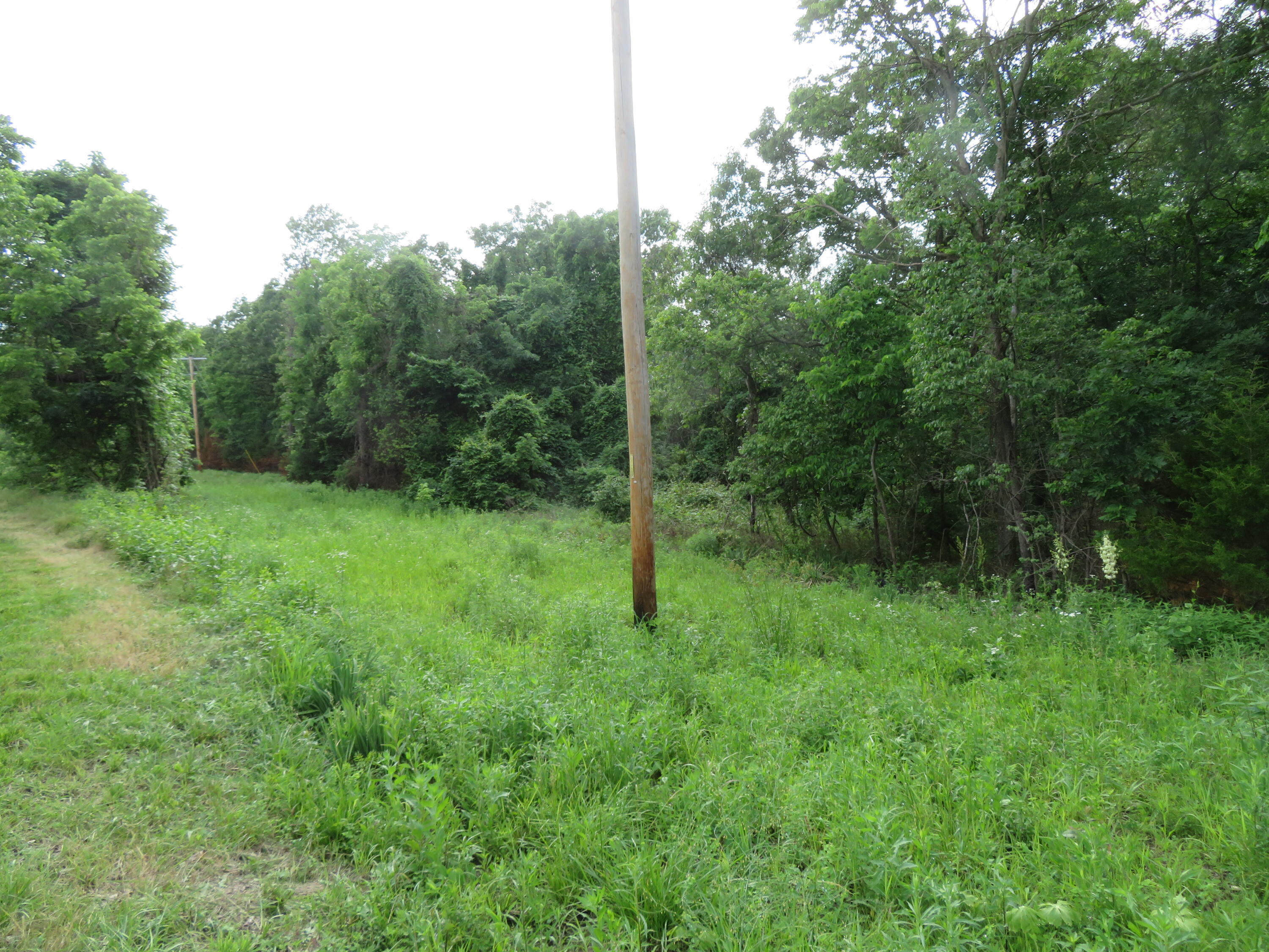 Photo 2 - Land for sale – 000 S 33rd Road  Humansville, MO