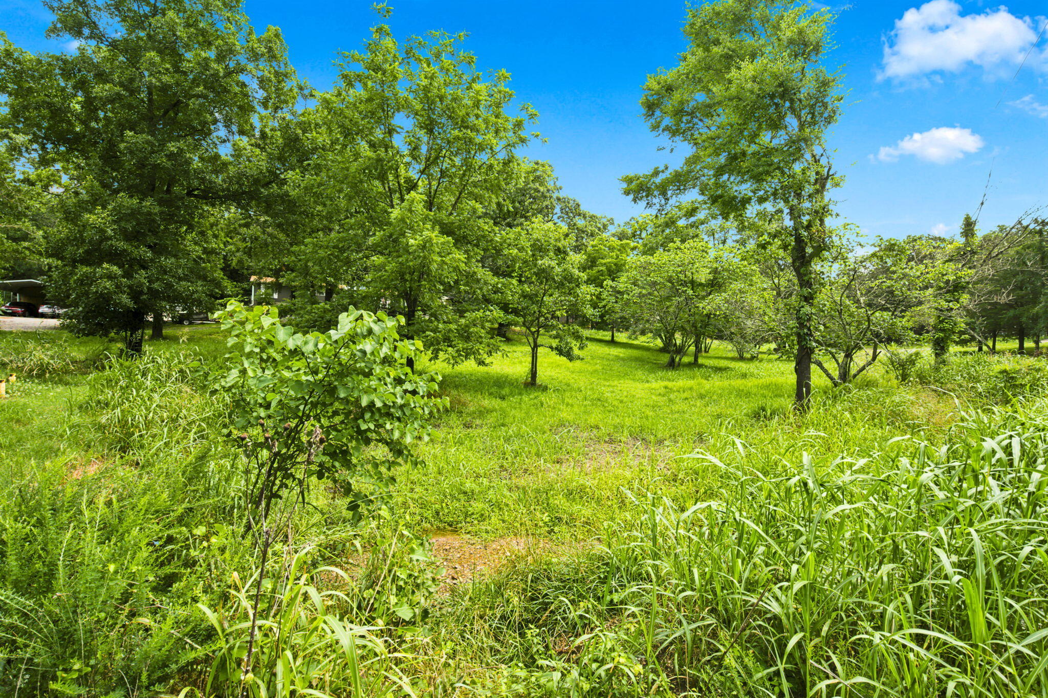 Photo 4 - Land for sale – 000  Cedar Cove Road   Branson West, MO