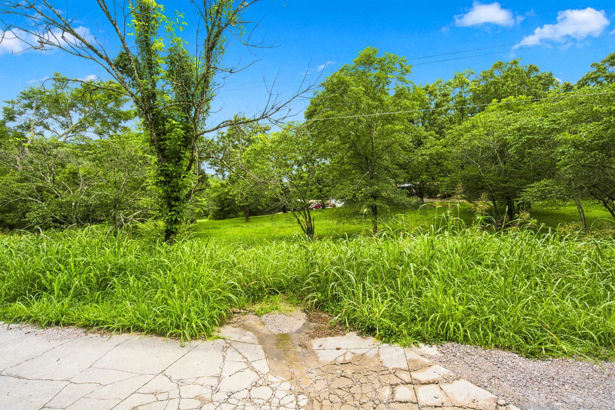 Photo 30 - Land for sale – 000  Cedar Cove Road   Branson West, MO