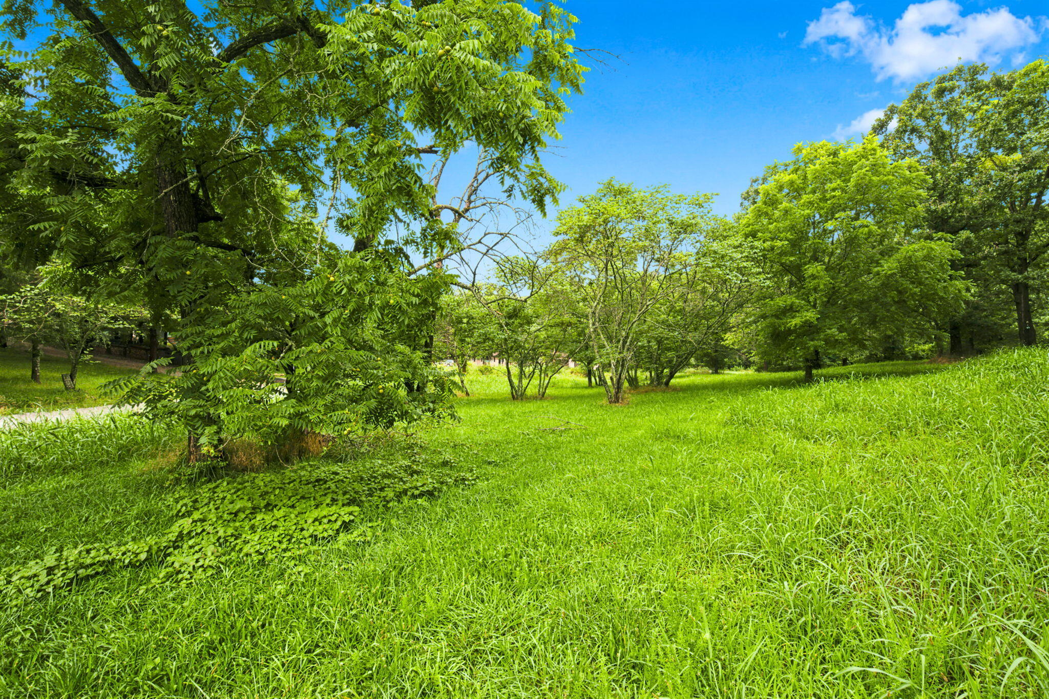 Photo 33 - Land for sale – 000  Cedar Cove Road   Branson West, MO