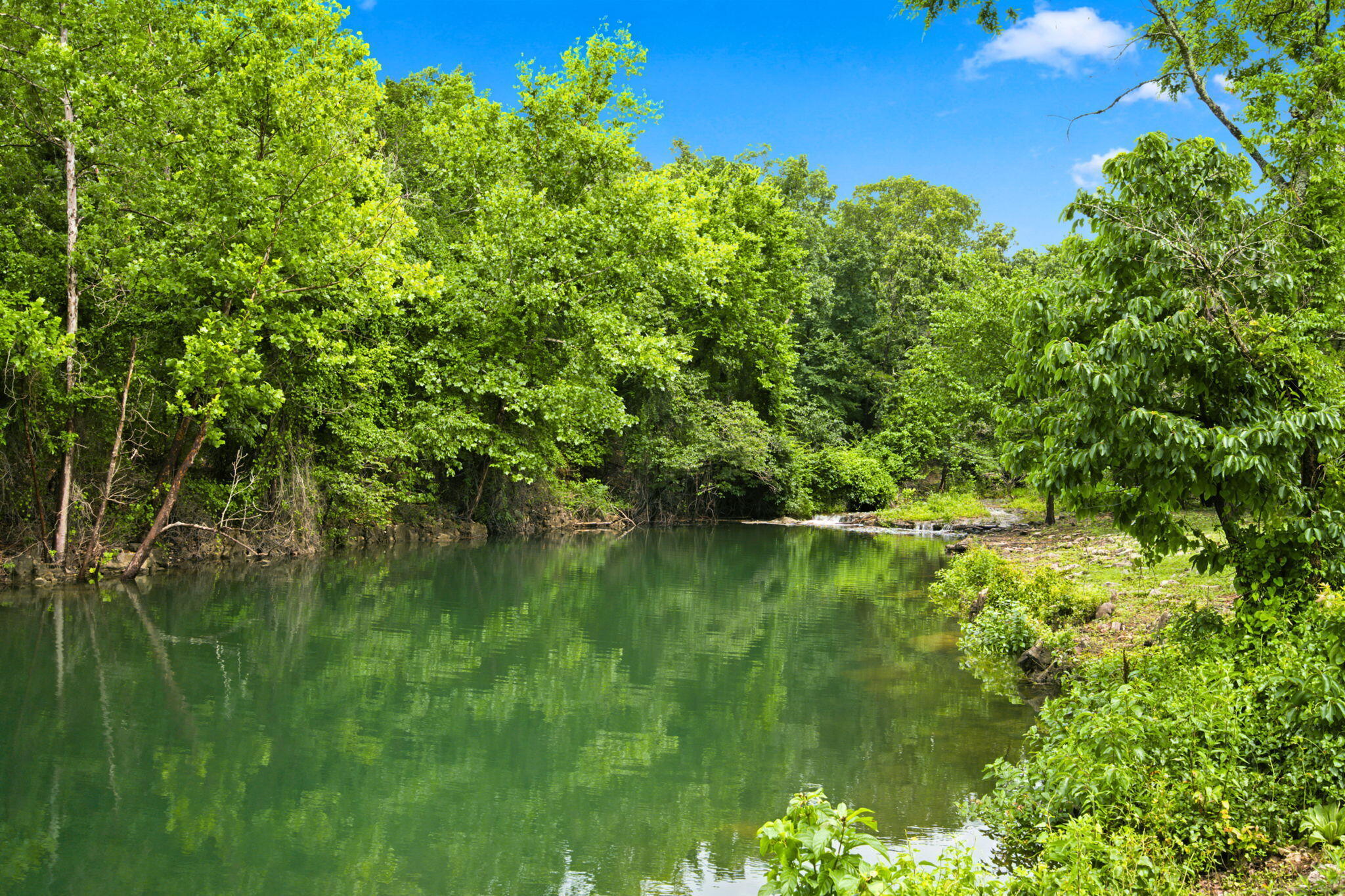 Photo 44 - Land for sale – 000  Cedar Cove Road   Branson West, MO