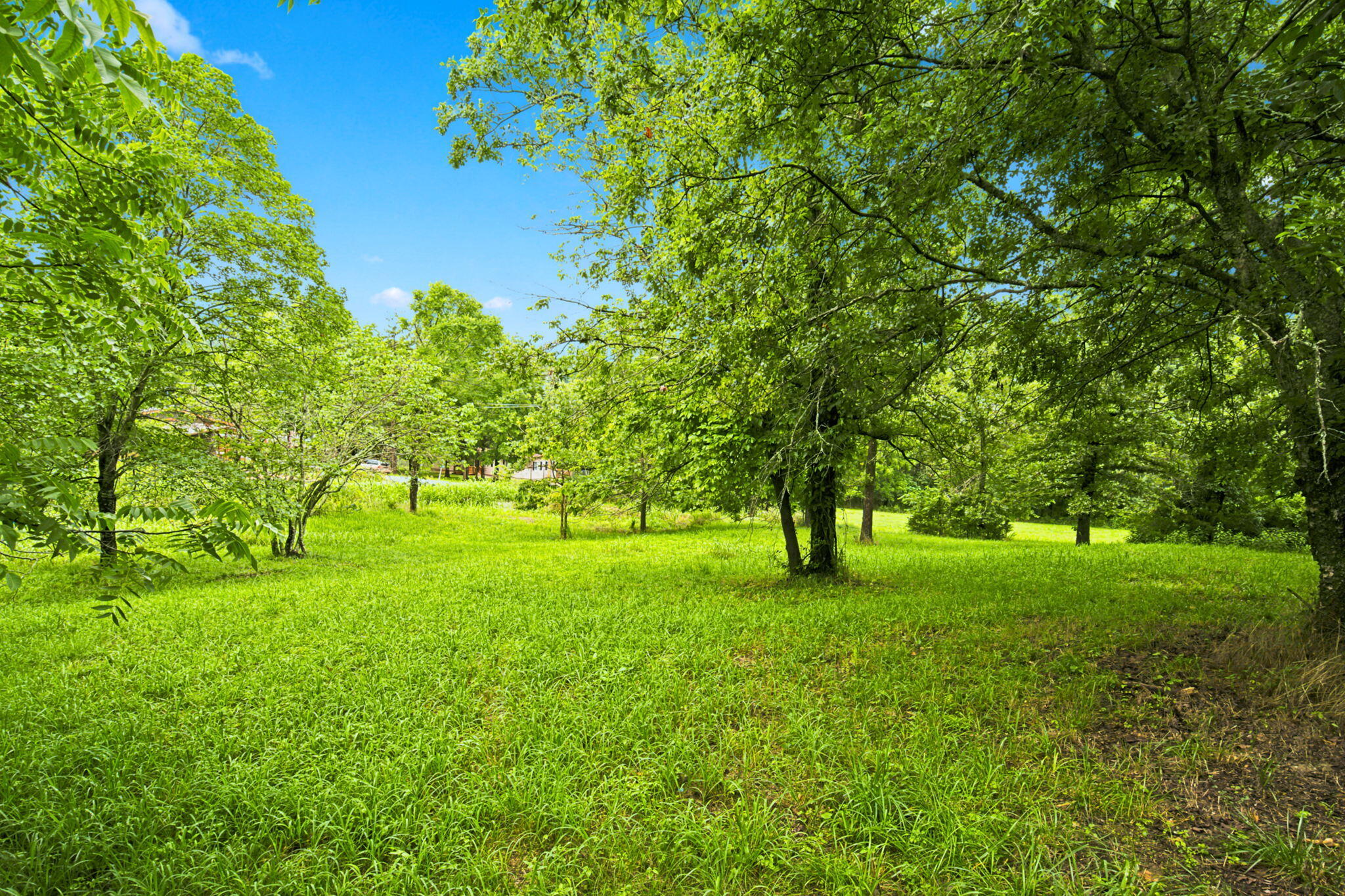 Photo 3 - Land for sale – 000  Cedar Cove Road   Branson West, MO