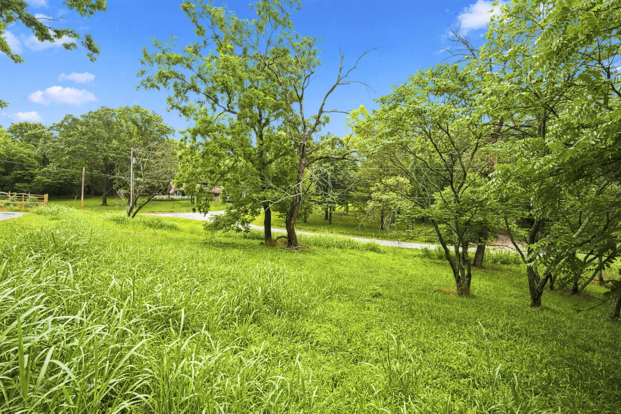 Photo 34 - Land for sale – 000  Cedar Cove Road   Branson West, MO