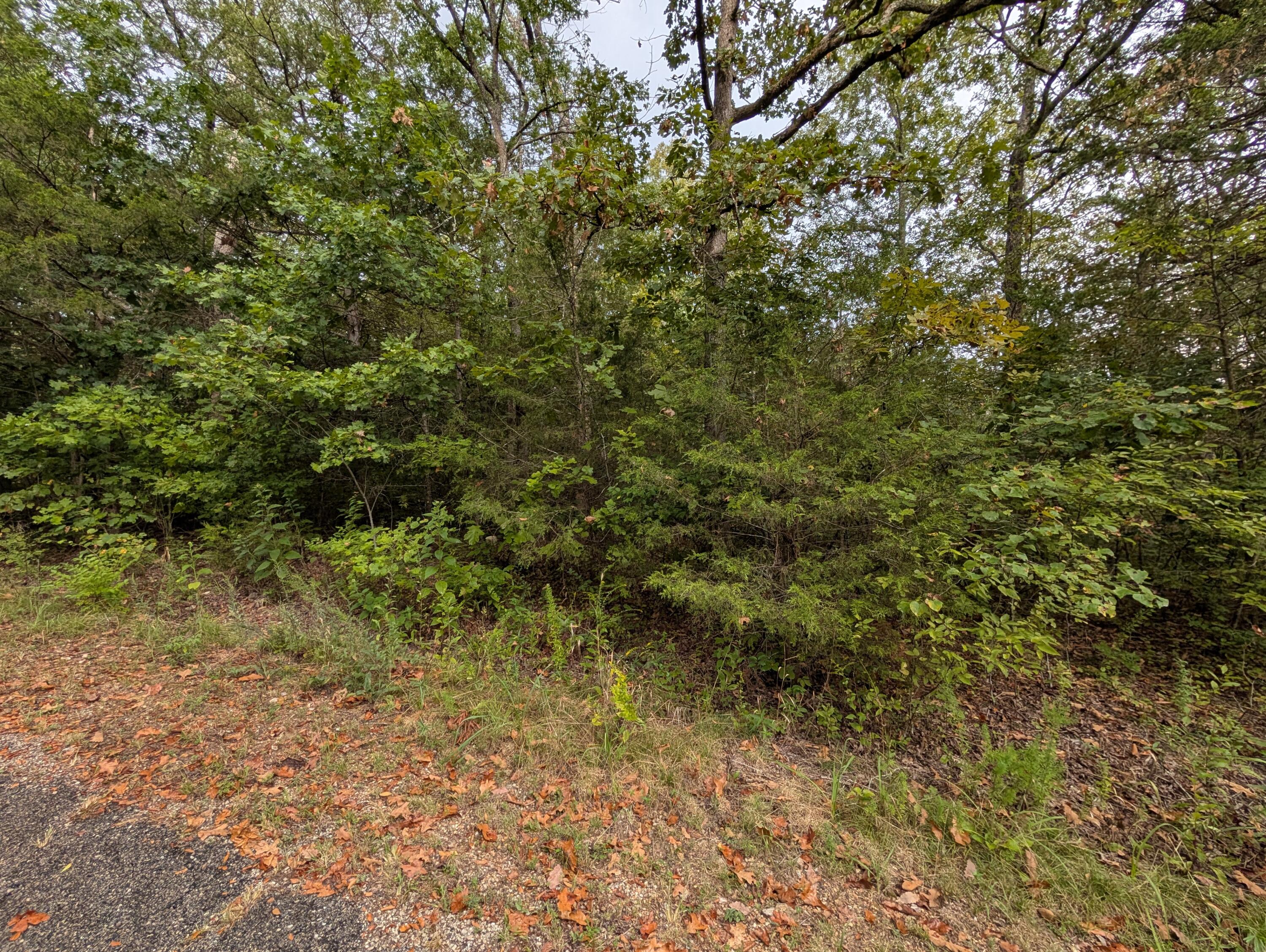Photo 5 - Land for sale – 000 N Lot 296 Millstone Street  Shell Knob, MO