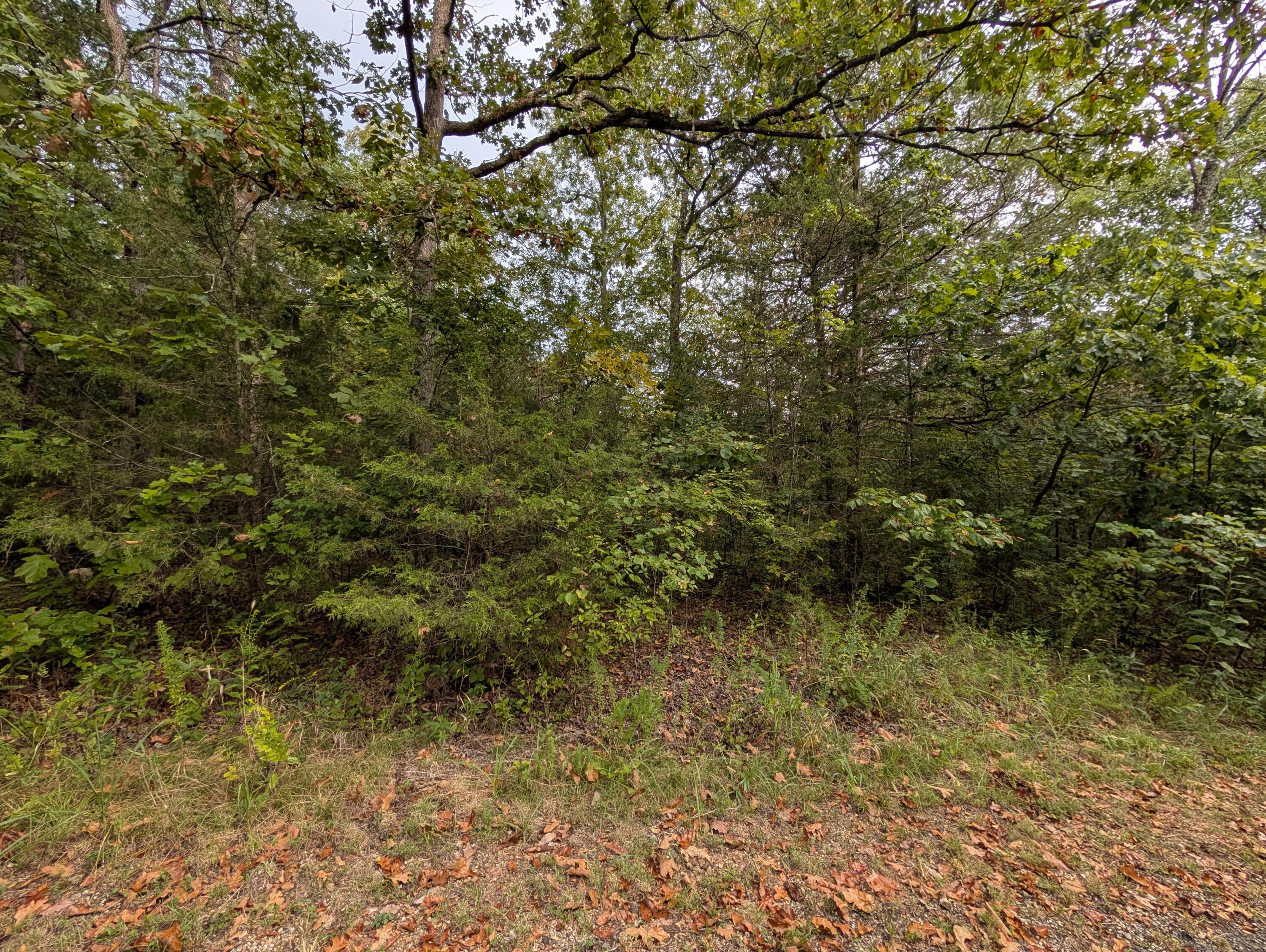 Photo 4 - Land for sale – 000 N Lot 296 Millstone Street  Shell Knob, MO