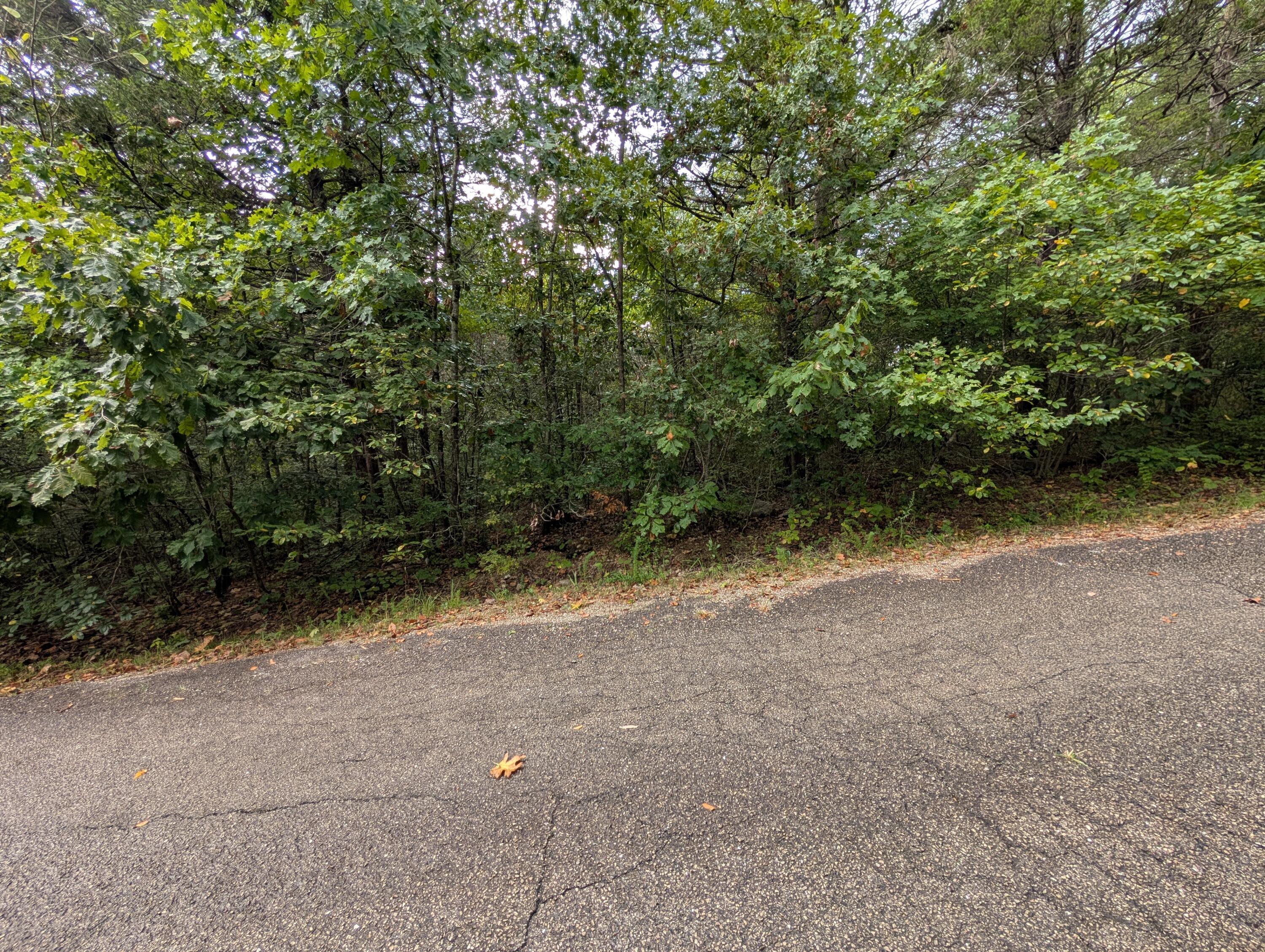 Photo 3 - Land for sale – 000 N Lot 296 Millstone Street  Shell Knob, MO
