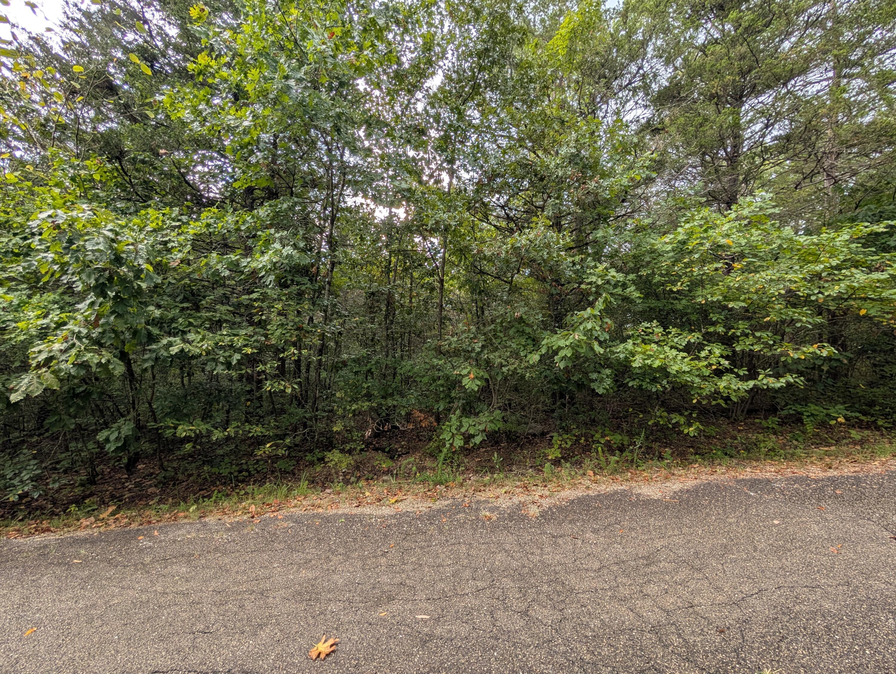Photo 2 - Land for sale – 000 N Lot 296 Millstone Street  Shell Knob, MO