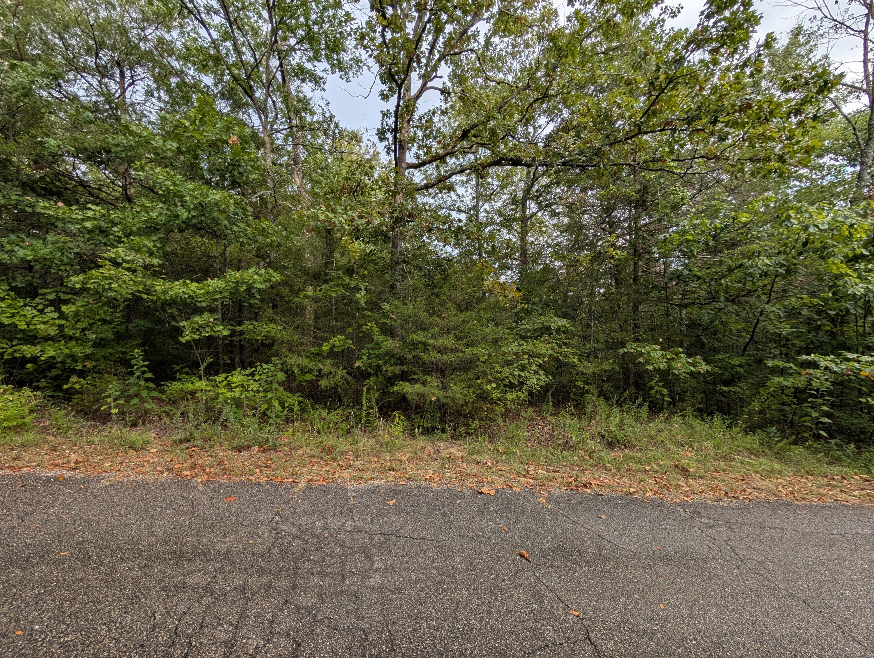Land for sale – 000 N Lot 296 Millstone Street  Shell Knob, MO