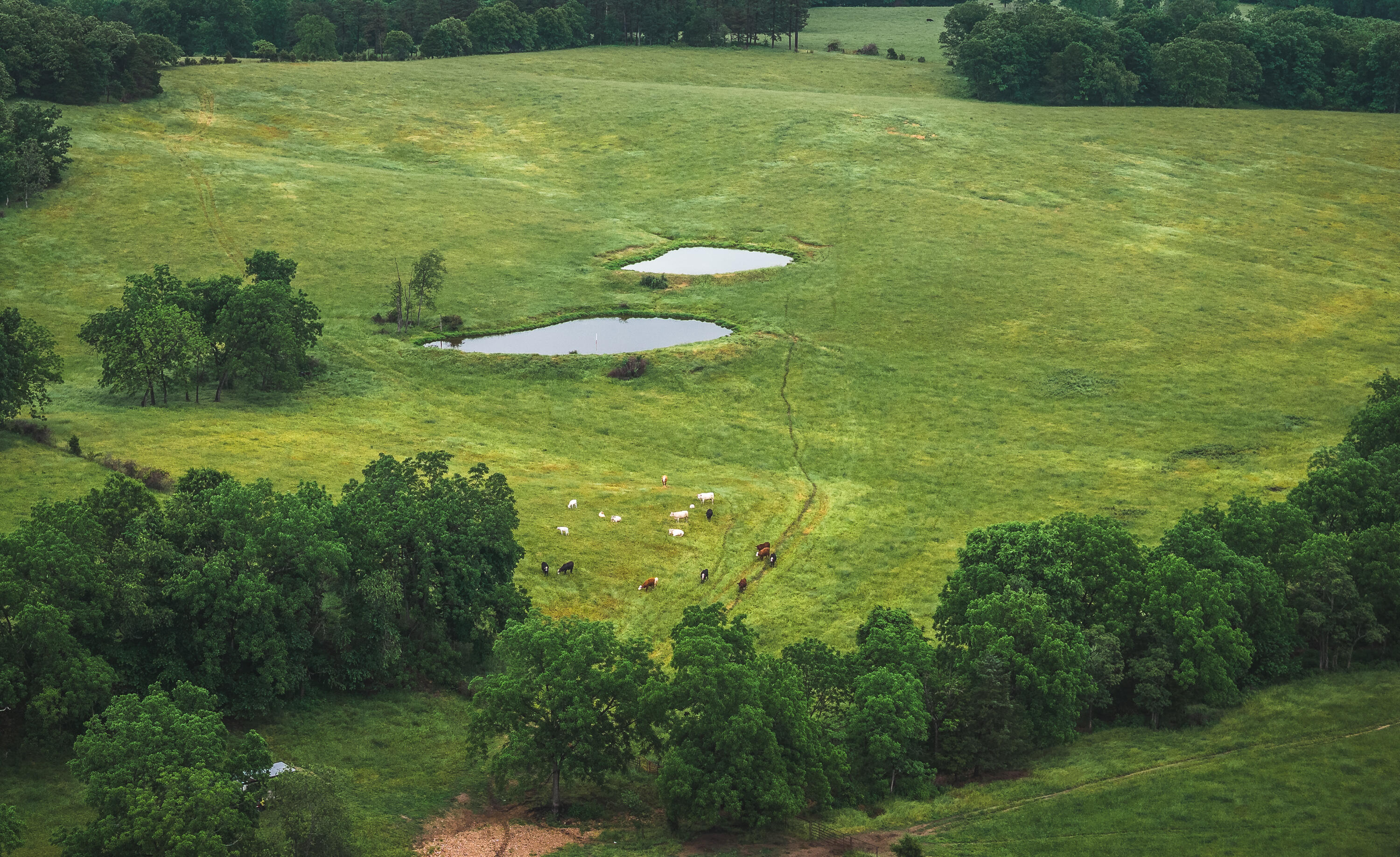 Photo 34 - Farm for sale – 20063  Pigeon Creek Road  Licking, MO