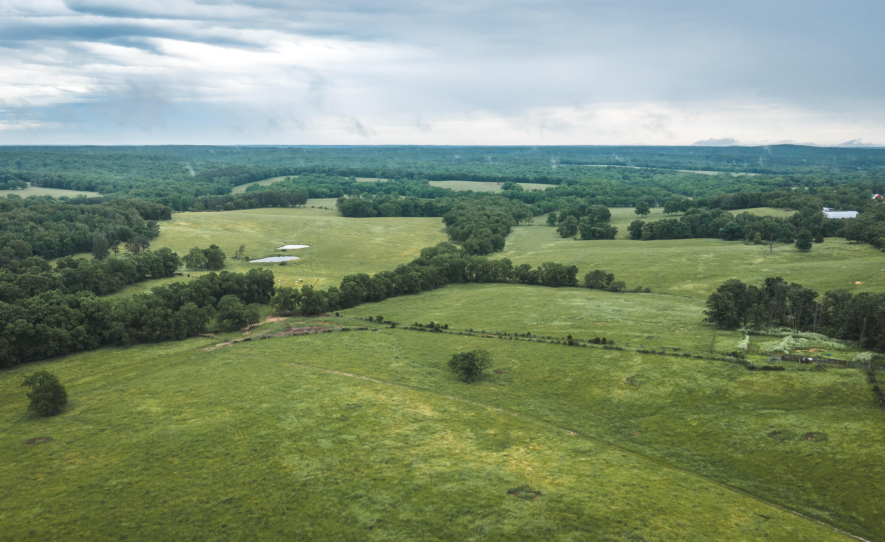 Photo 33 - Farm for sale – 20063  Pigeon Creek Road  Licking, MO