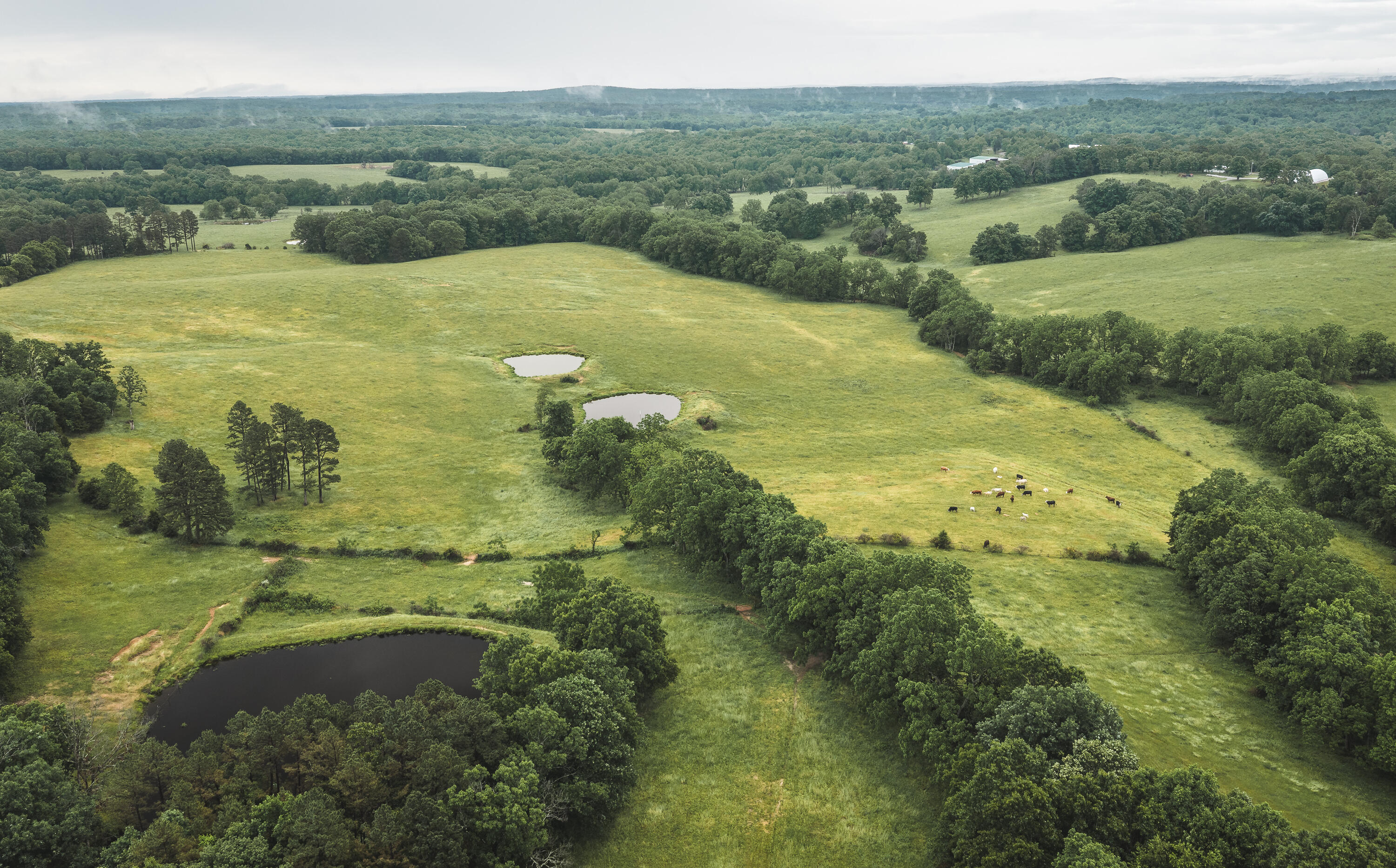 Photo 42 - Farm for sale – 20063  Pigeon Creek Road  Licking, MO
