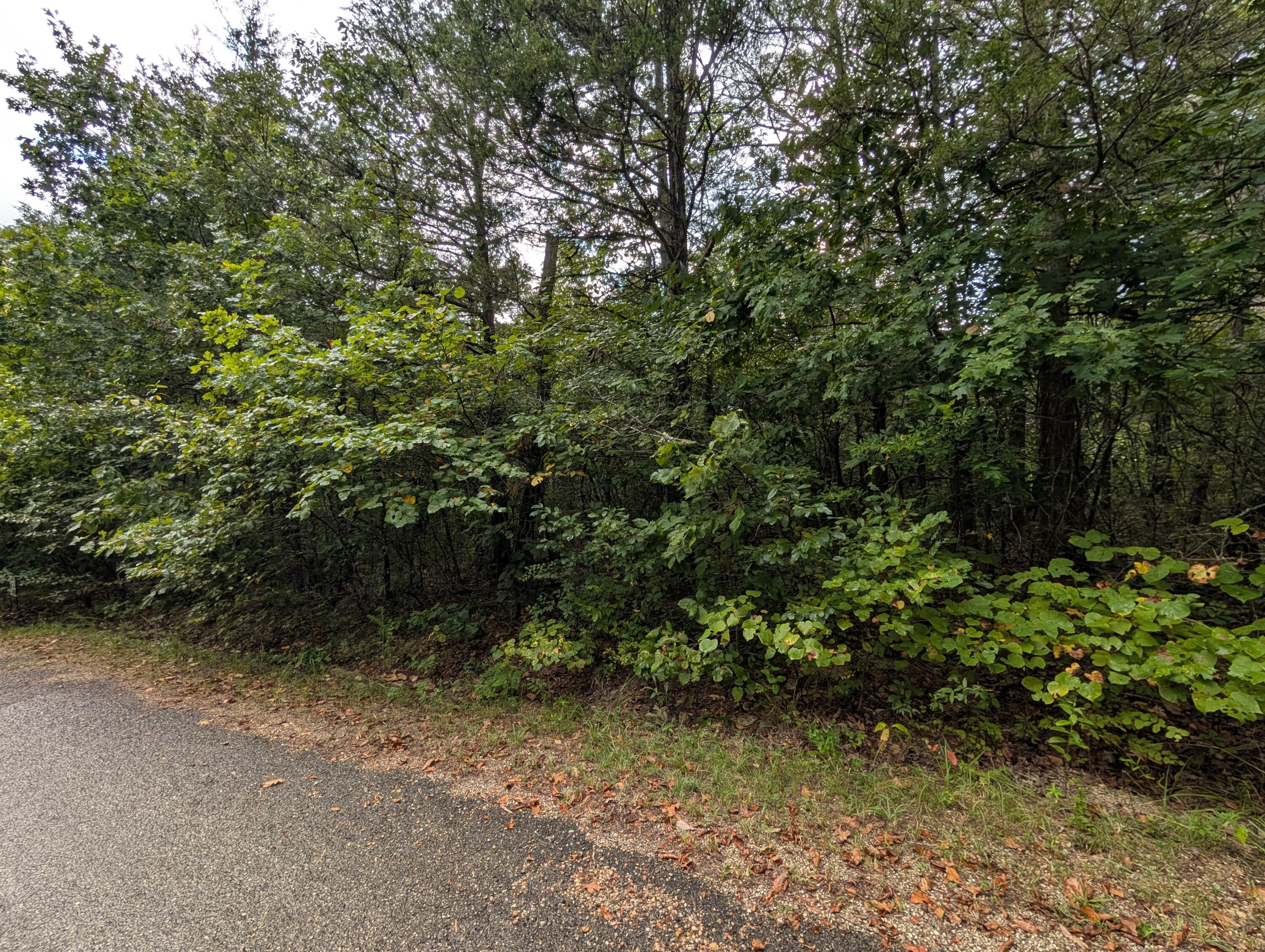 Photo 3 - Land for sale – 000 N Lot 359 Millstone Street  Shell Knob, MO