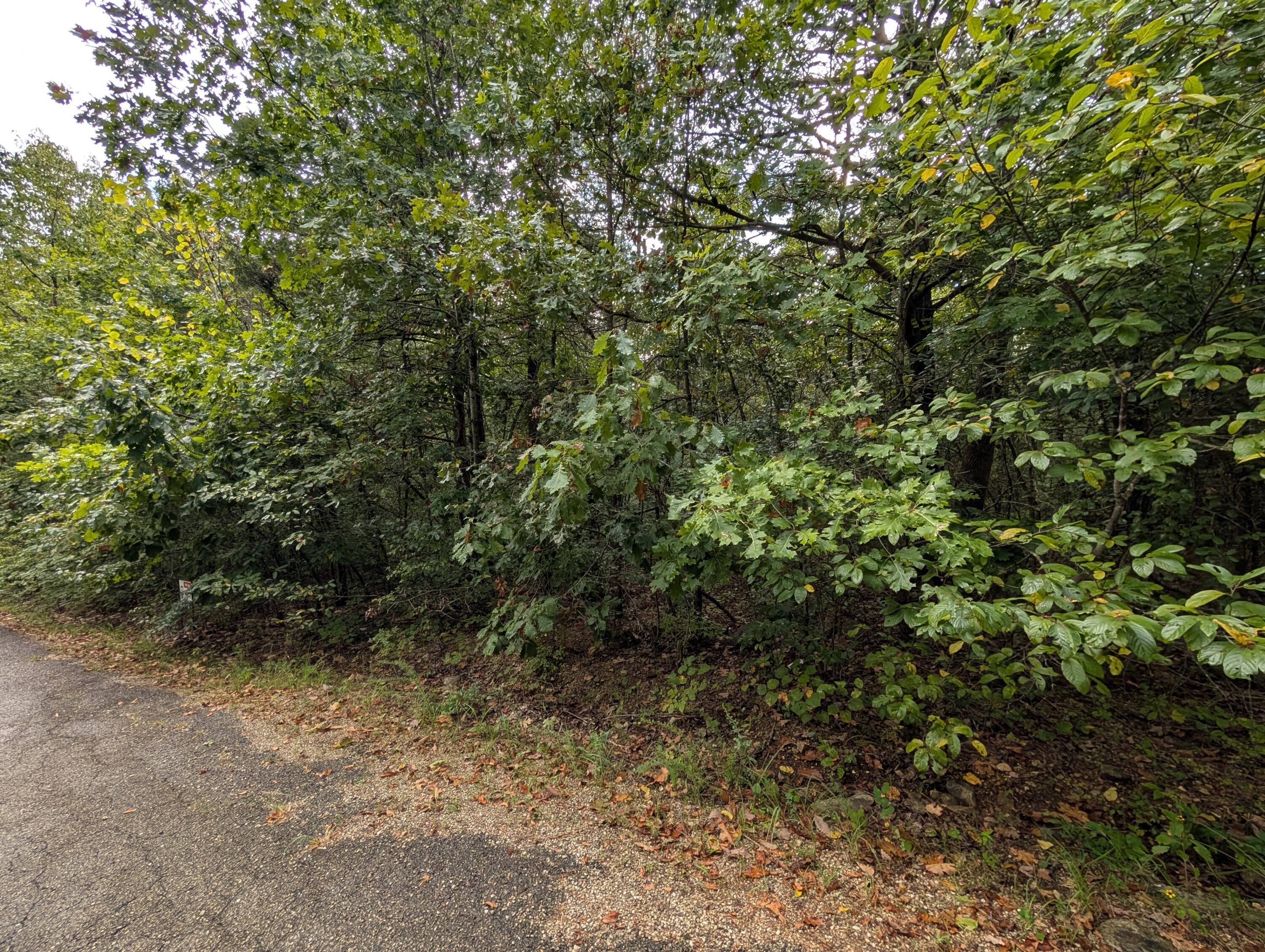 Photo 6 - Land for sale – 000 N Lot 359 Millstone Street  Shell Knob, MO
